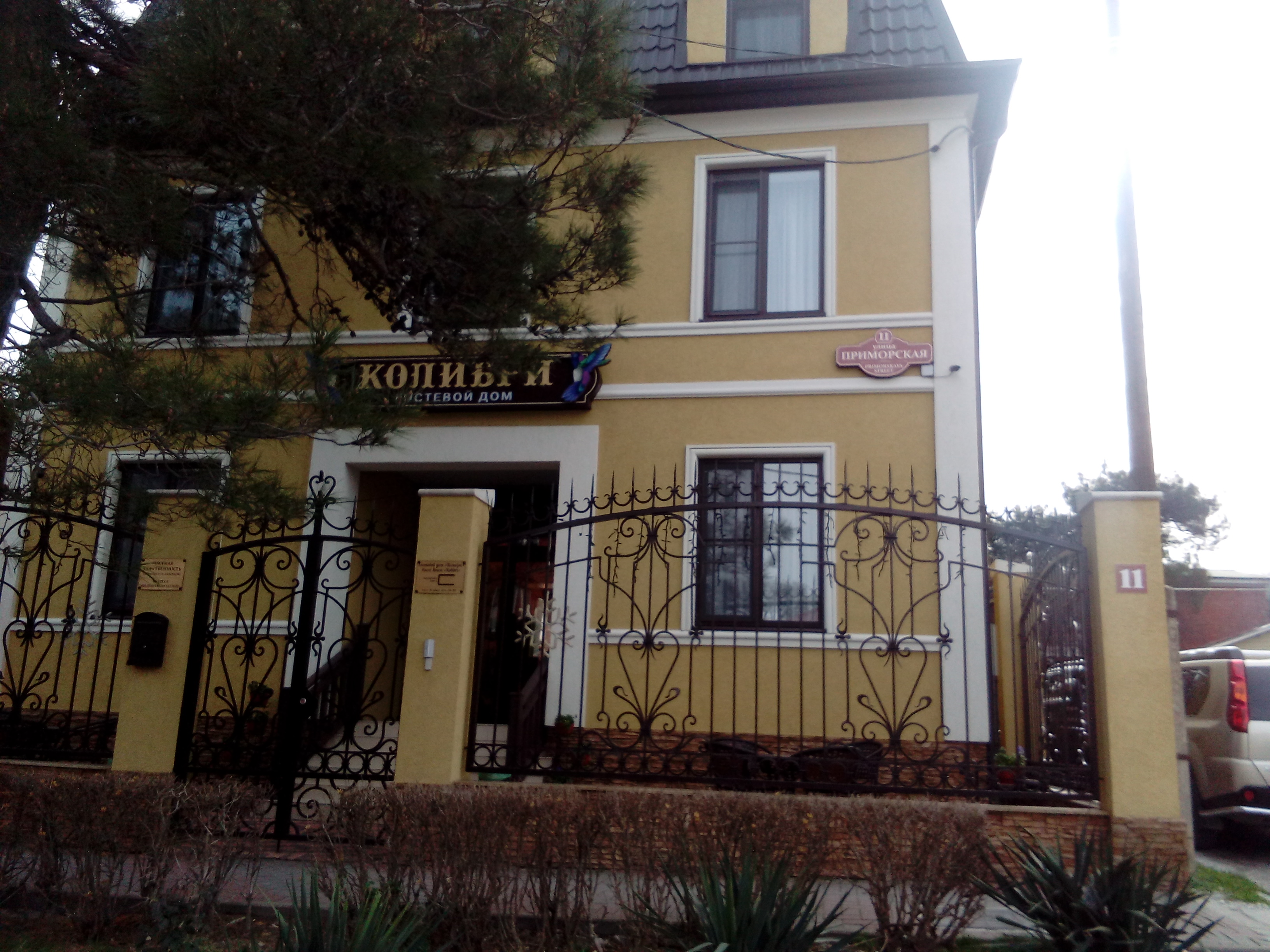 Фото Колибри