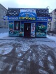 Pitomets (Kasimov, ulitsa Kokoreva, 2А) ، متجر للحيوانات الأليفة