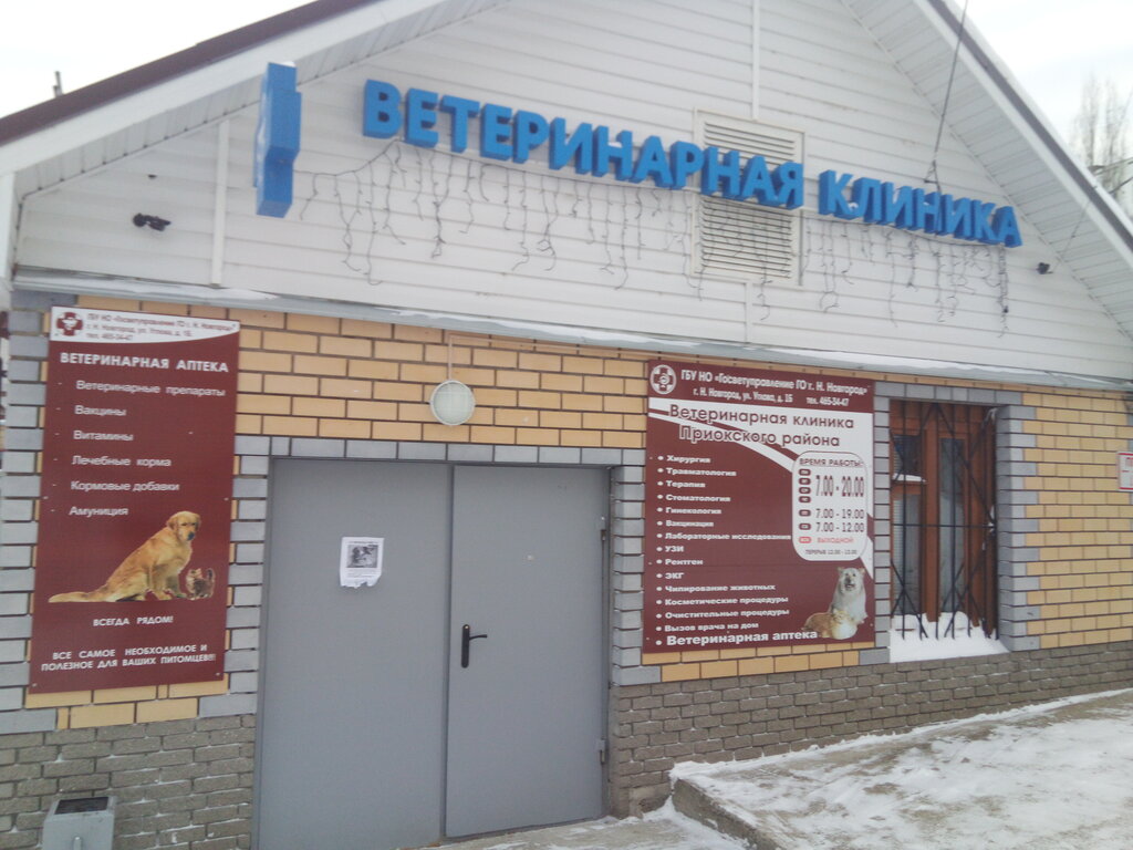 Олимп ветеринарная ул 2а нижний новгород фото