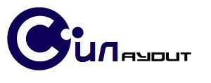 Силаудит