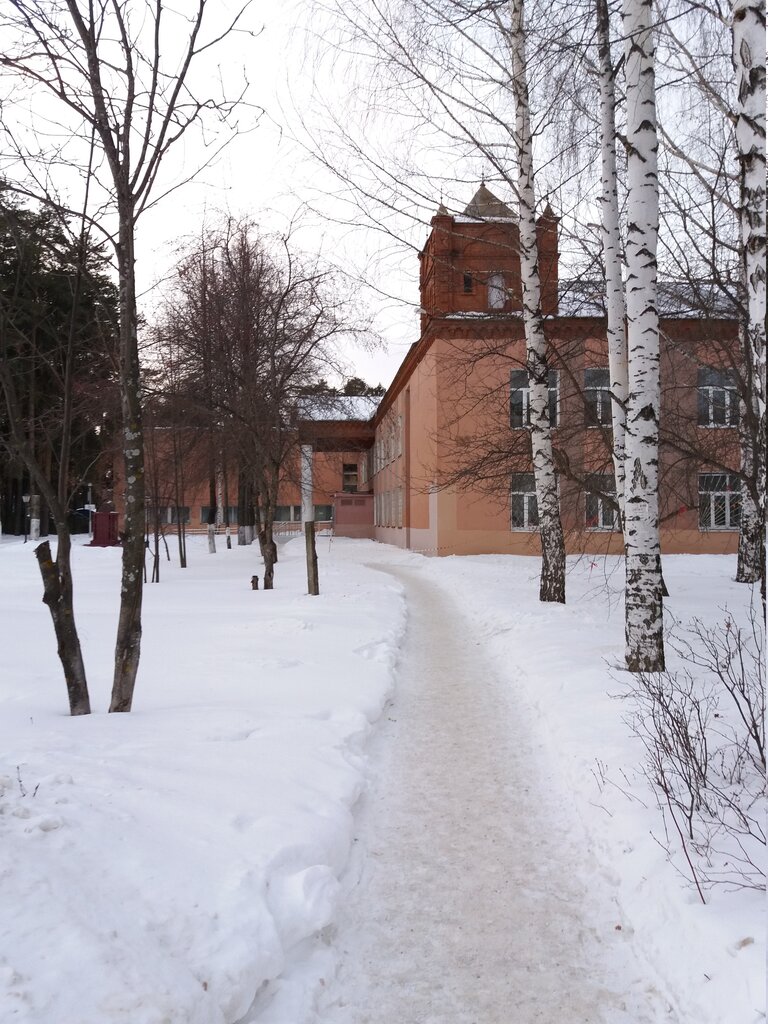 College Воткинский музыкально-педагогический колледж имени П.И. Чайковского, Votkinsk, photo