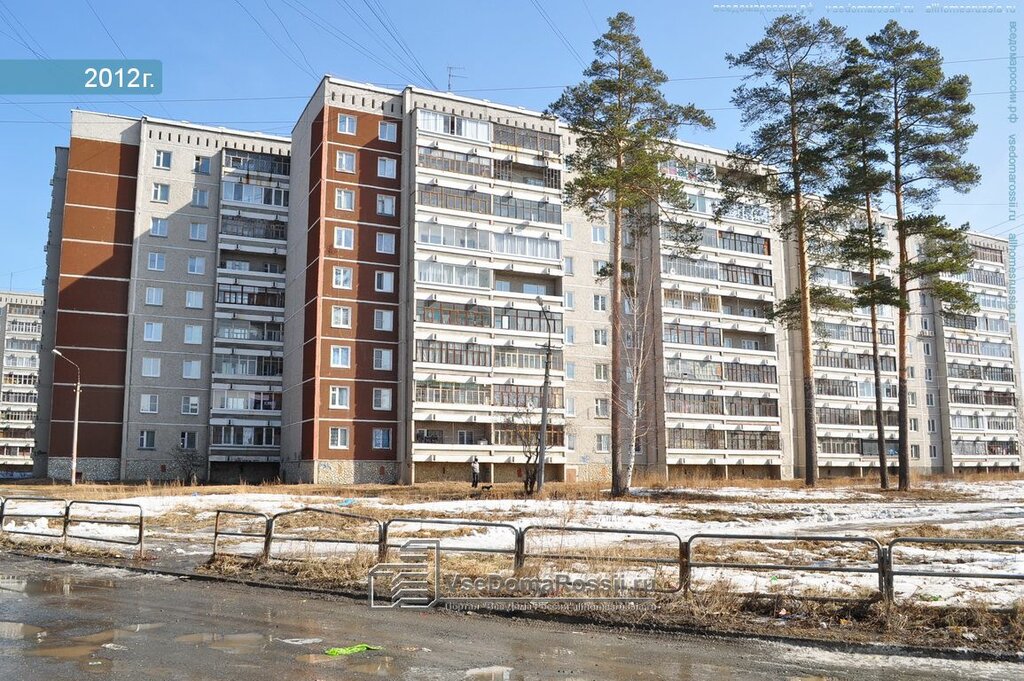 Игуана ул уральских рабочих 50 фото