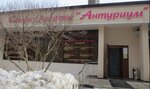 Anthurium (Musy Dzhalilya Street, 27к2с2), beauty salon