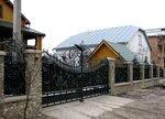 Arnold (Mykulynetska vulytsia, 3А), wrought iron