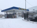 Oktan (Nevskaya ulitsa, 2В) ، محطة وقود