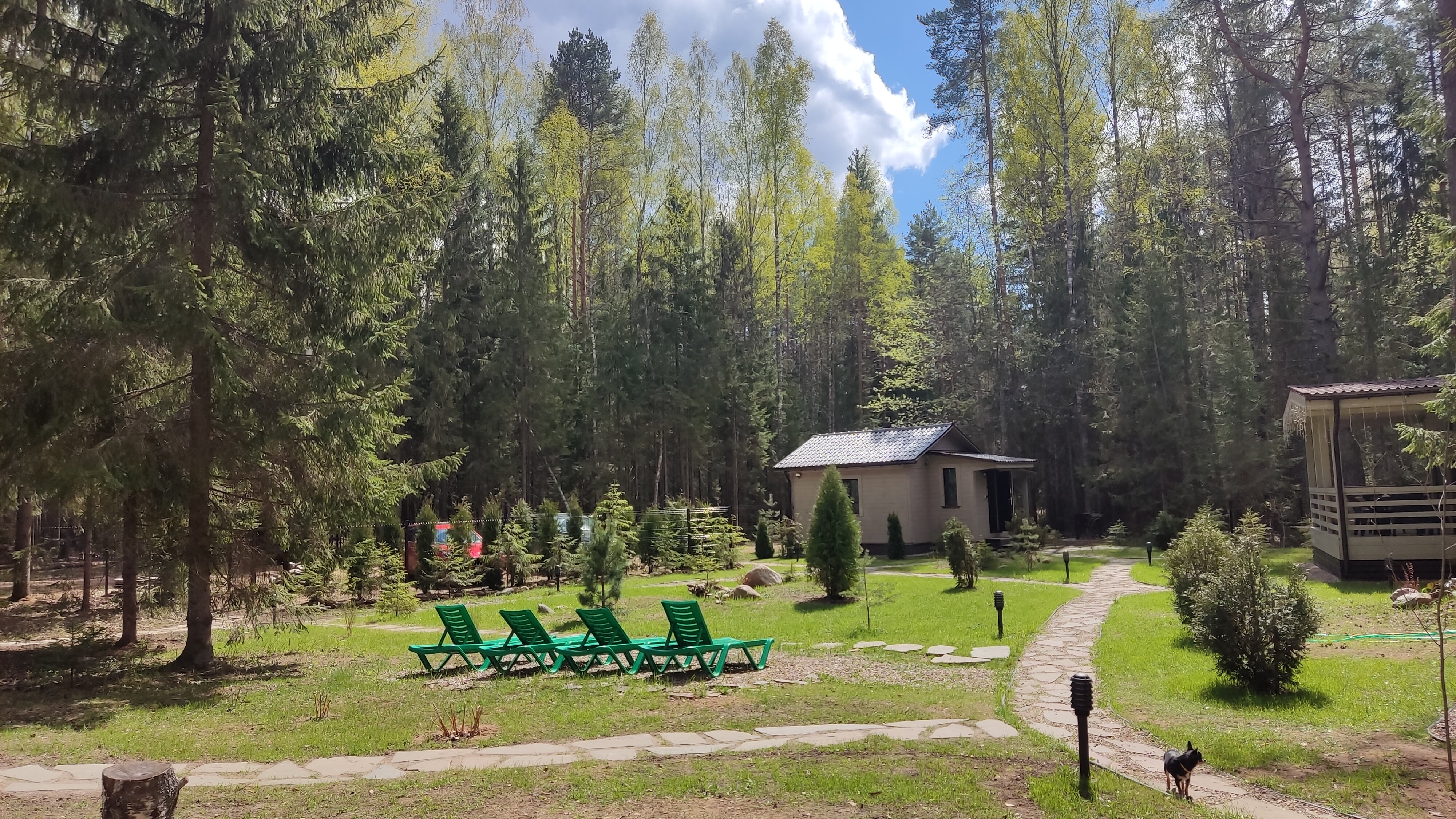 Фото Коттеджи в сосновом бору