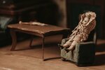 Museum of Unique Dolls (Pokrovka Street, 13с2) ، متحف