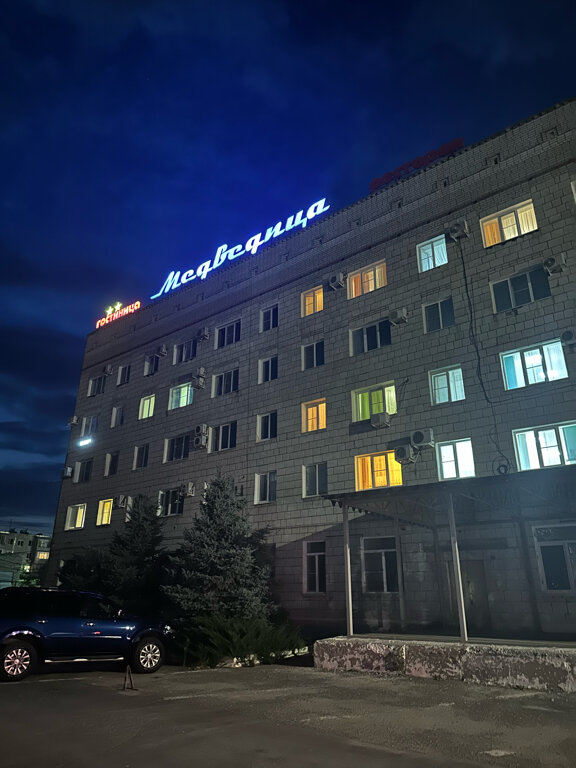 Фото Медведица