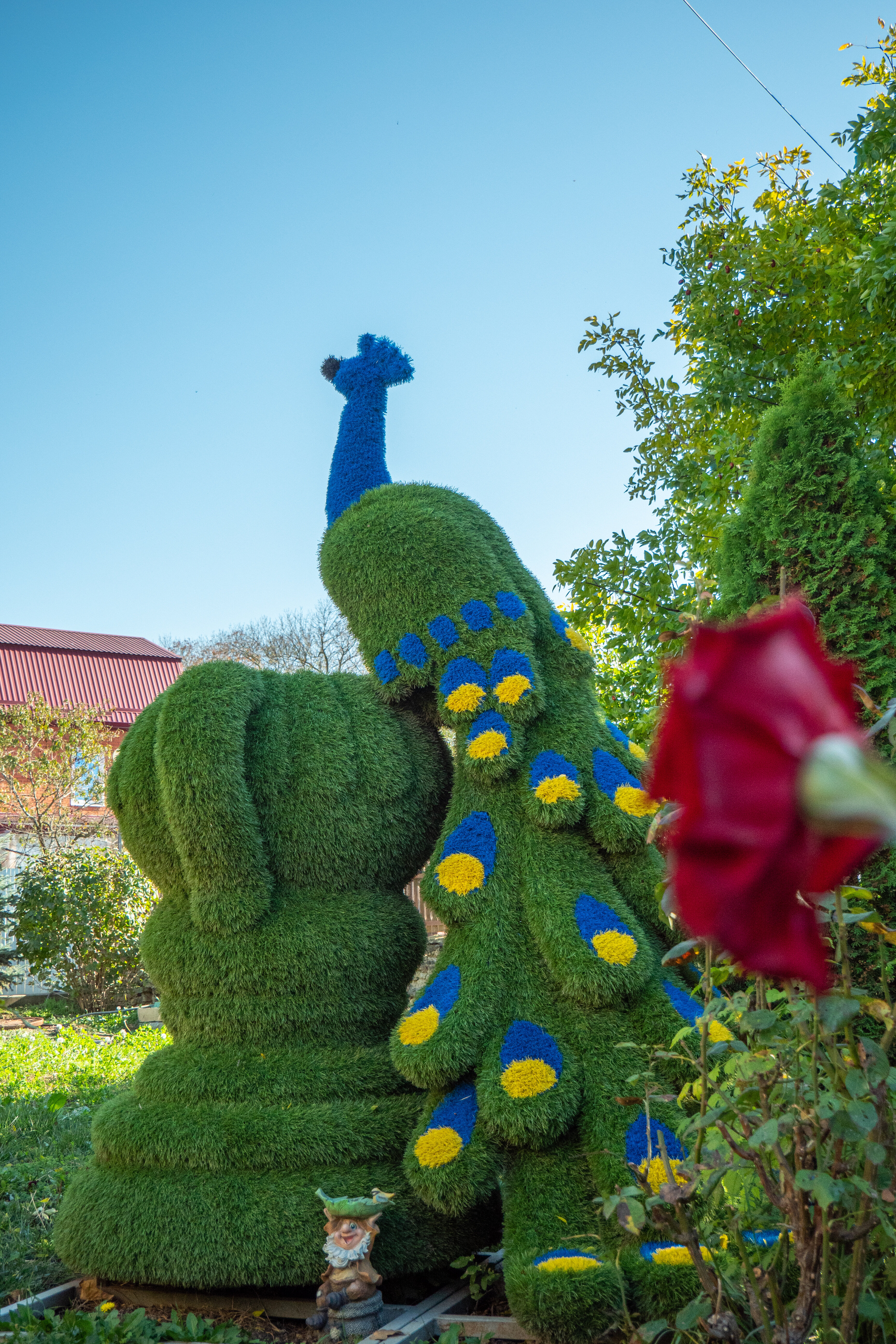 Фото Курени