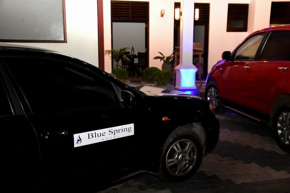 Фото Capital O 132 Blue Spring Hotel