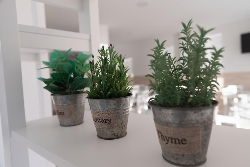 Фото Kings Hotel