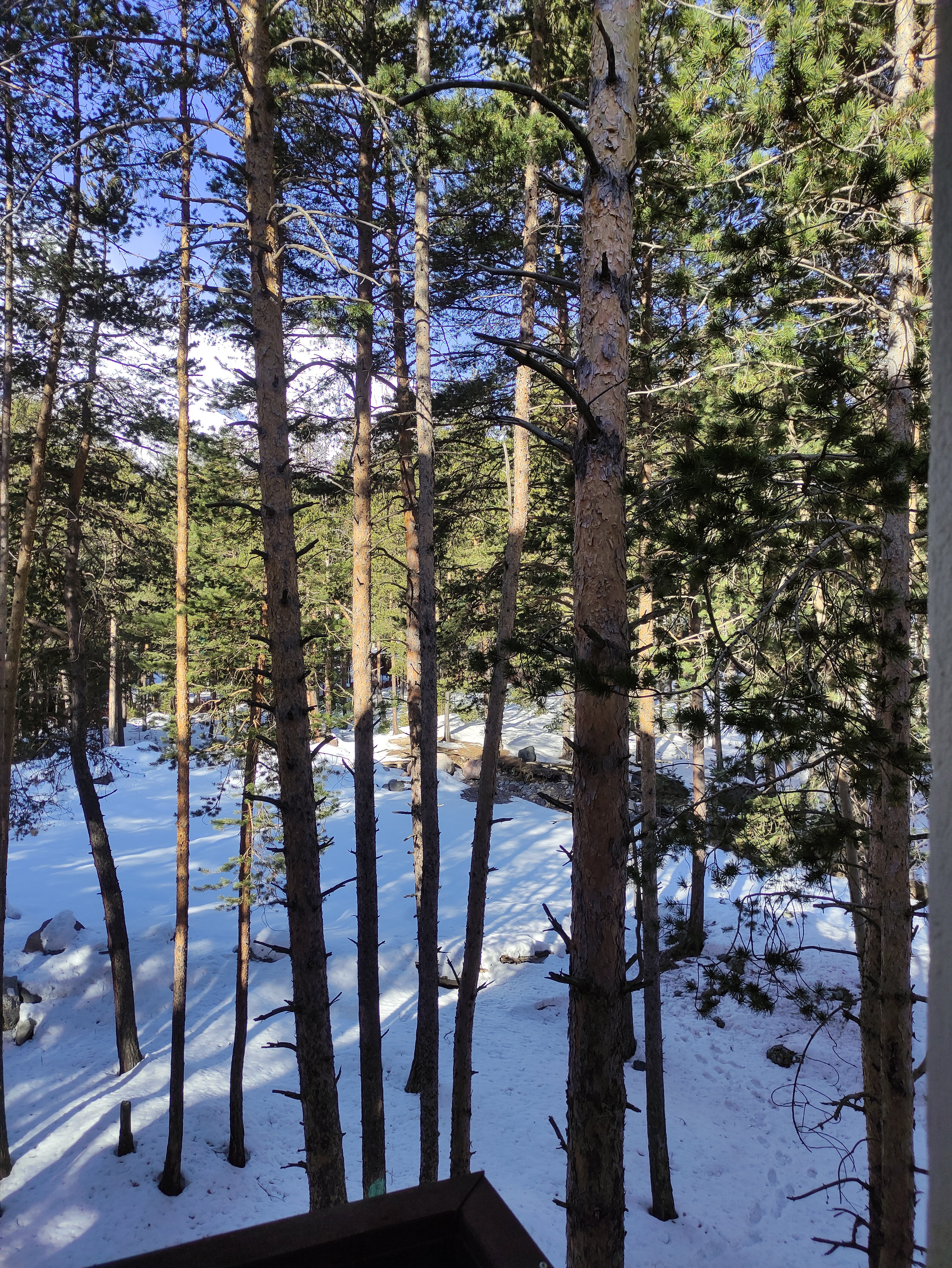 Фото Зима-Лето Терскол