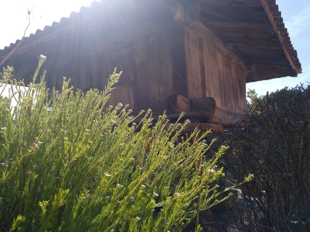 Фото Rural Obaya