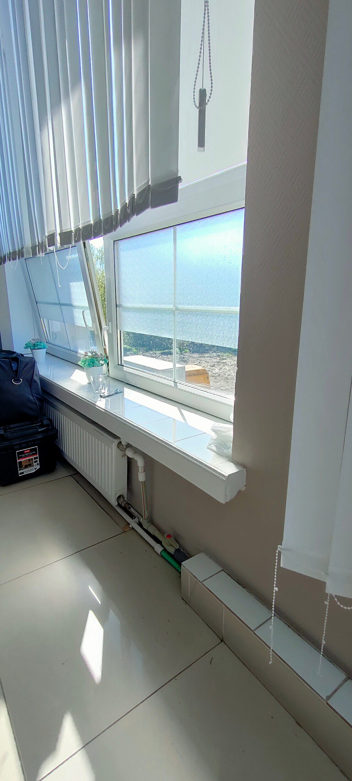 Фото Калина