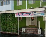 Orkhideya (Ayteke Bï street, 40/1), cafetería