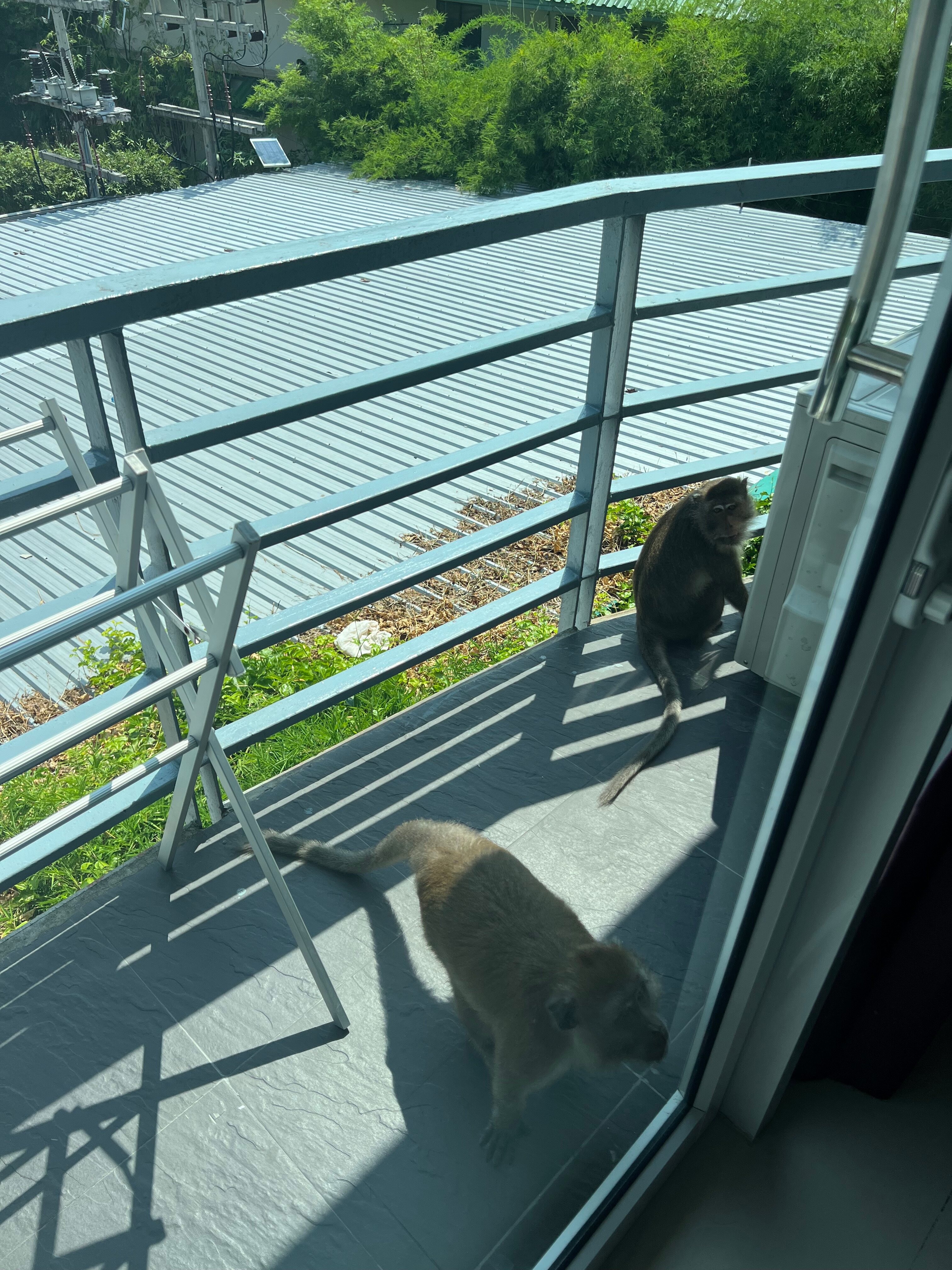 Фото Phi Phi Maiyada Resort