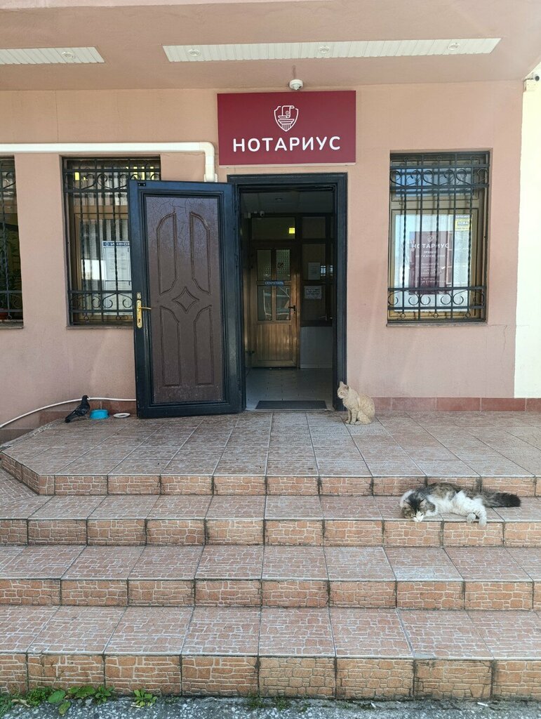 Нотариусы Нотариус Пряхина О. А., Сочи, фото
