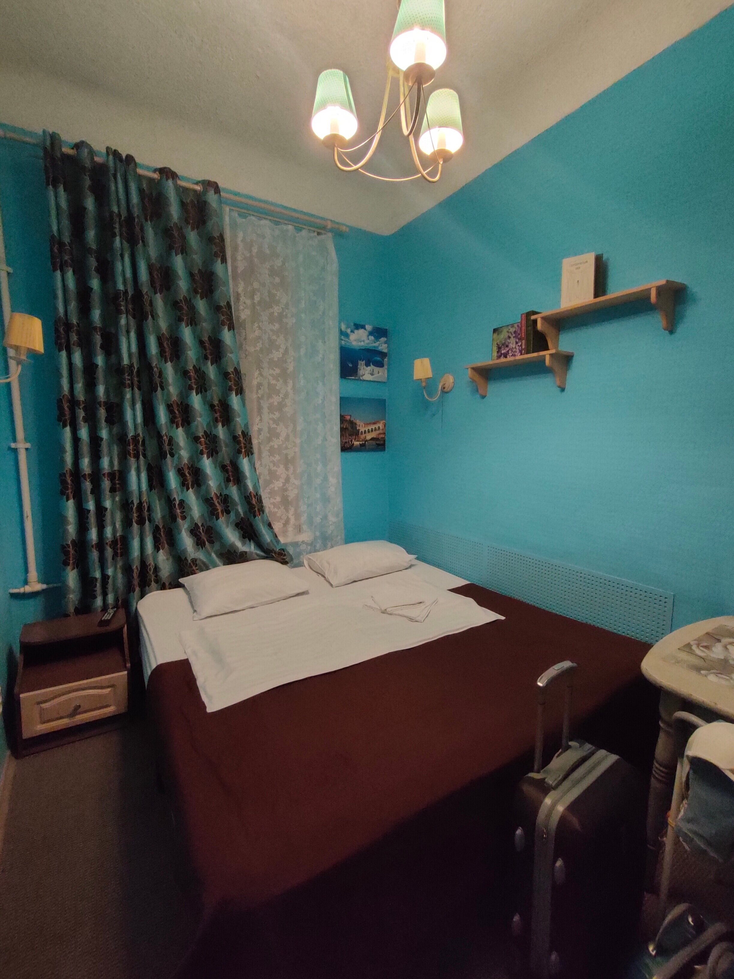 Фото Старый кот