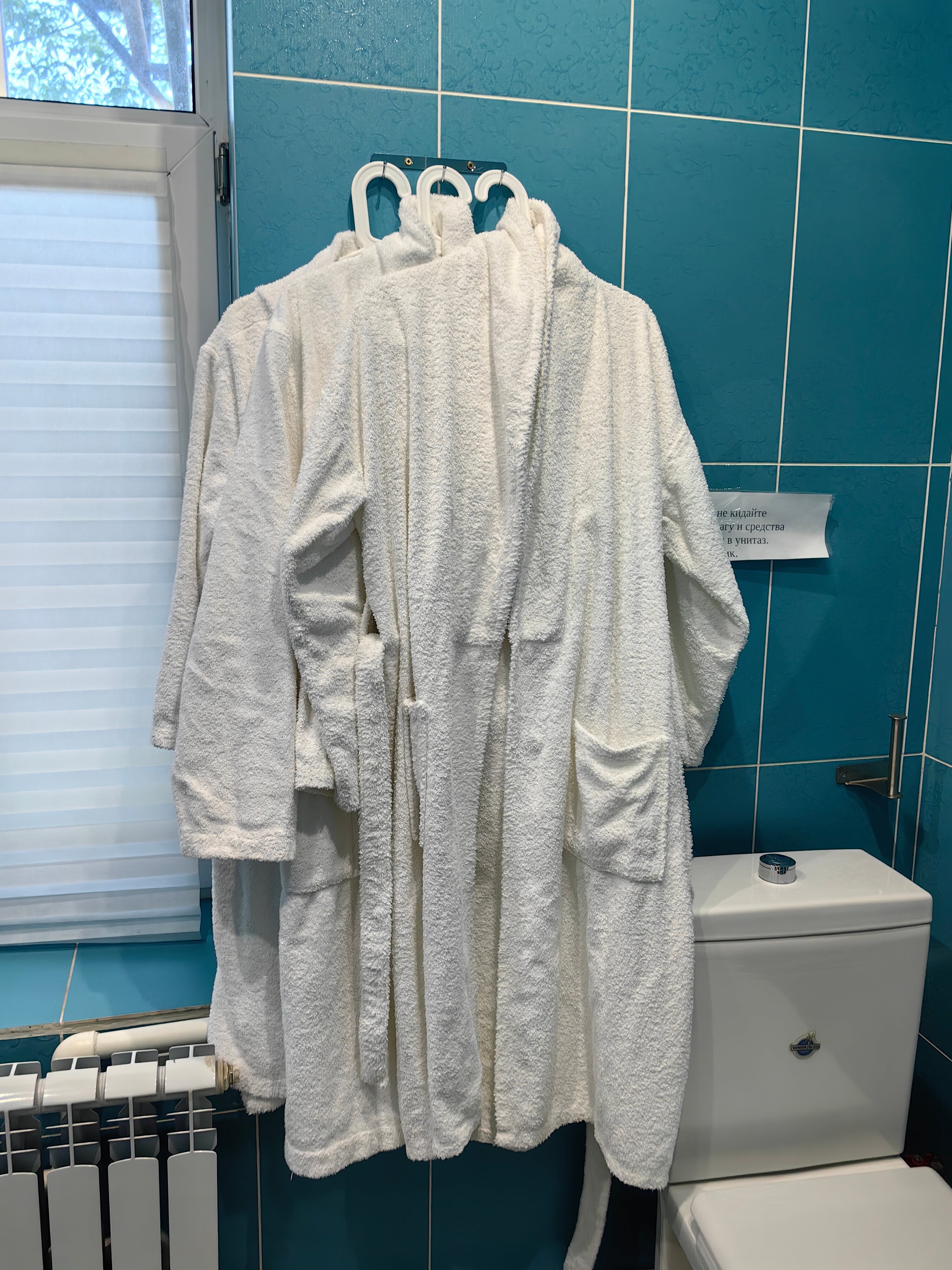 Фото 113 Верста