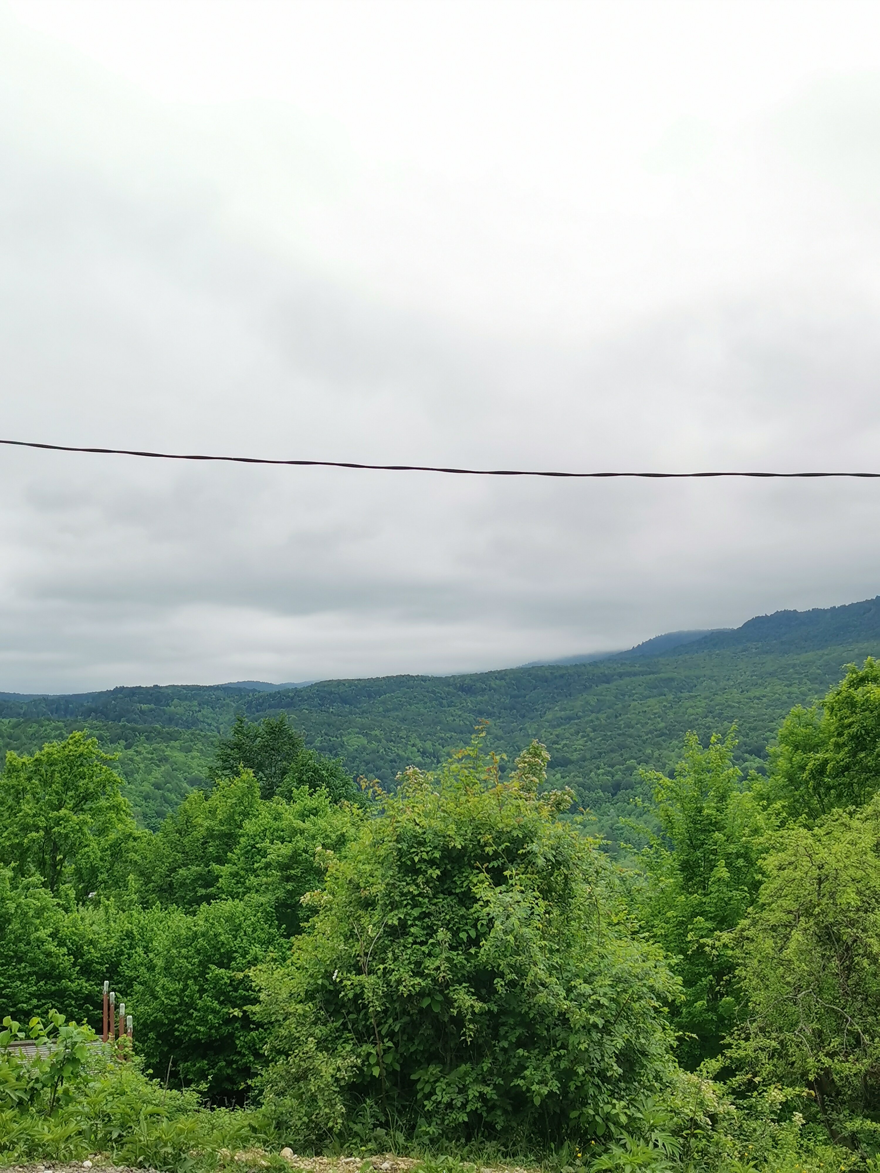 Фото Дача Карамель