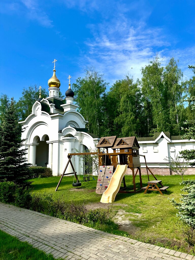 Православный храм Церковь Александра Невского, Москва и Московская область, фото