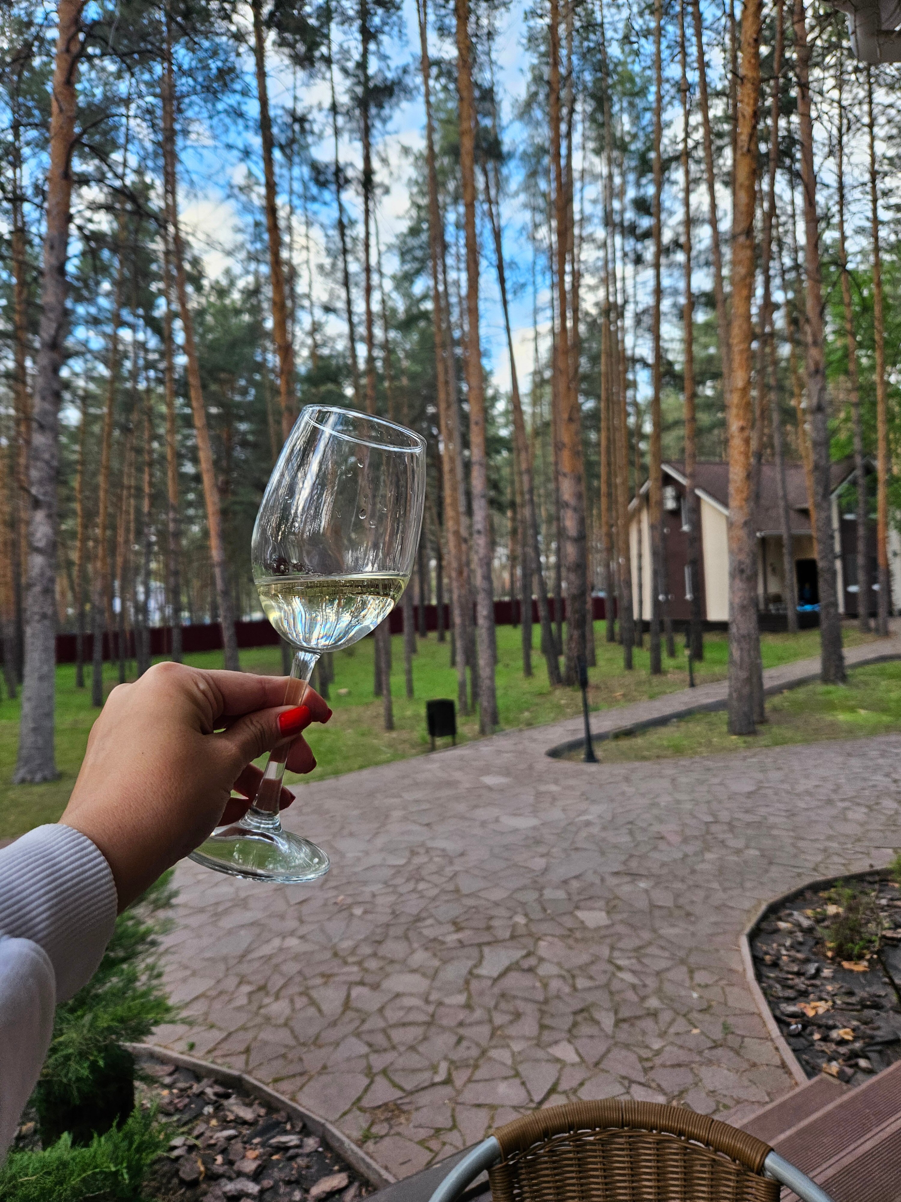 Фото ФорРест