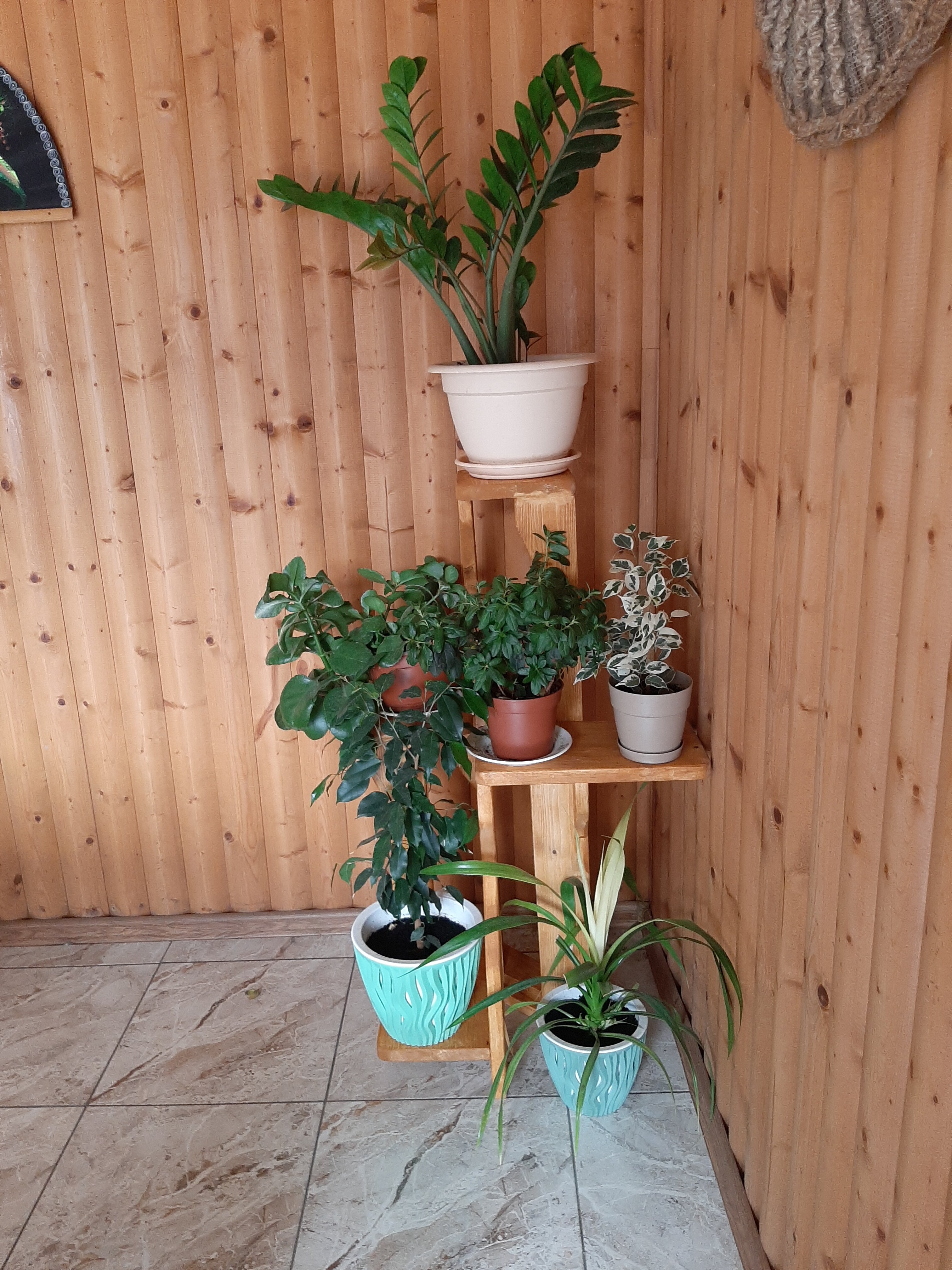 Фото Санрайз