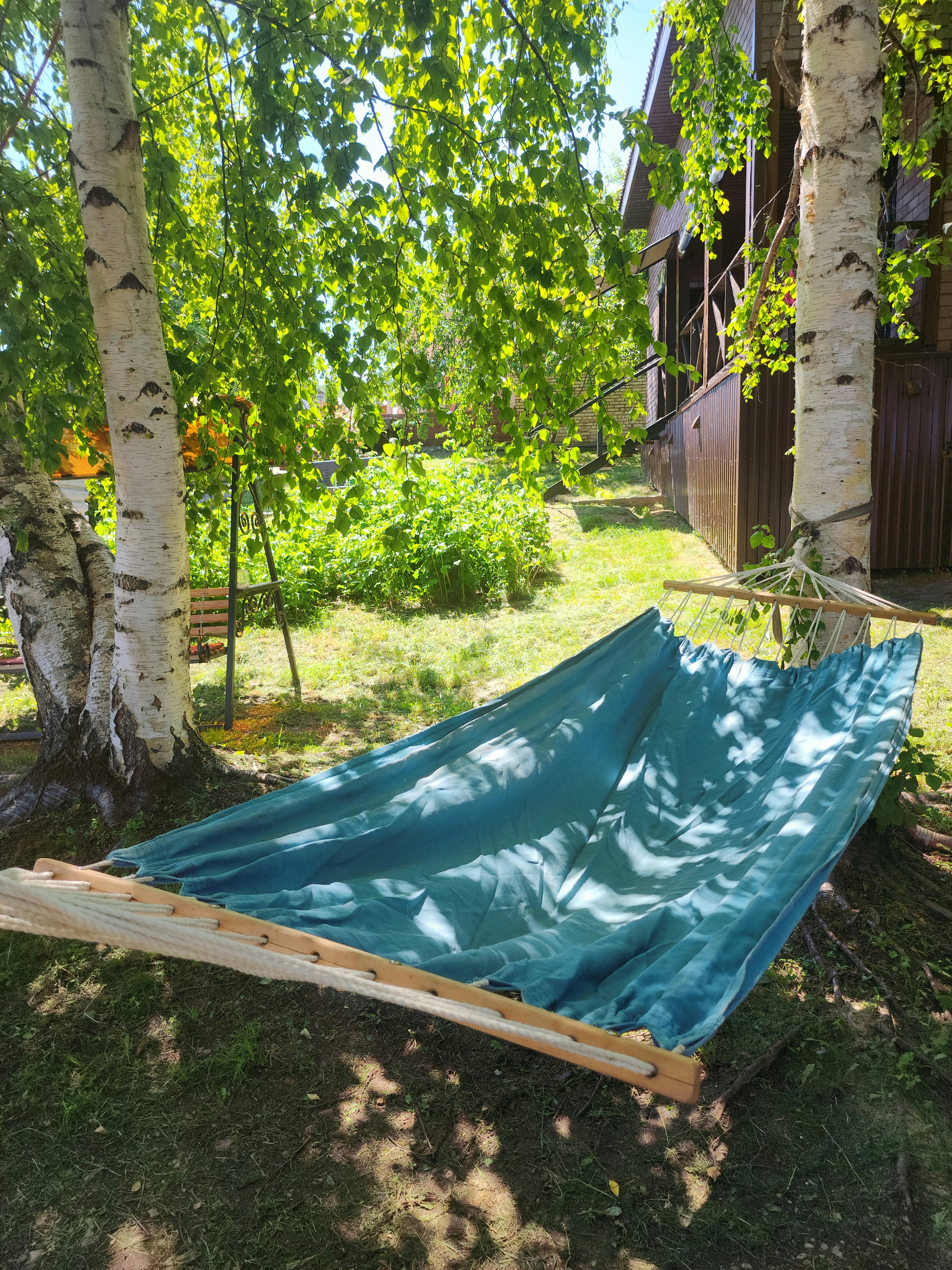 Фото Берёзка Кандрыкуль