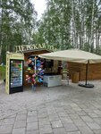 Детская лавка (ulitsa Chkalova, 87), cafe