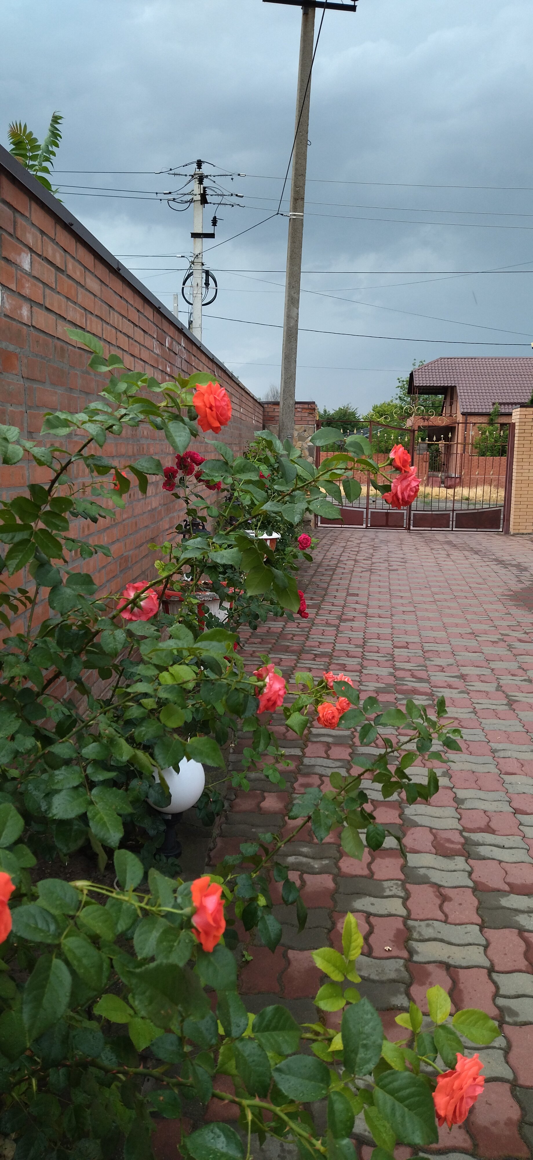 Фото Престиж