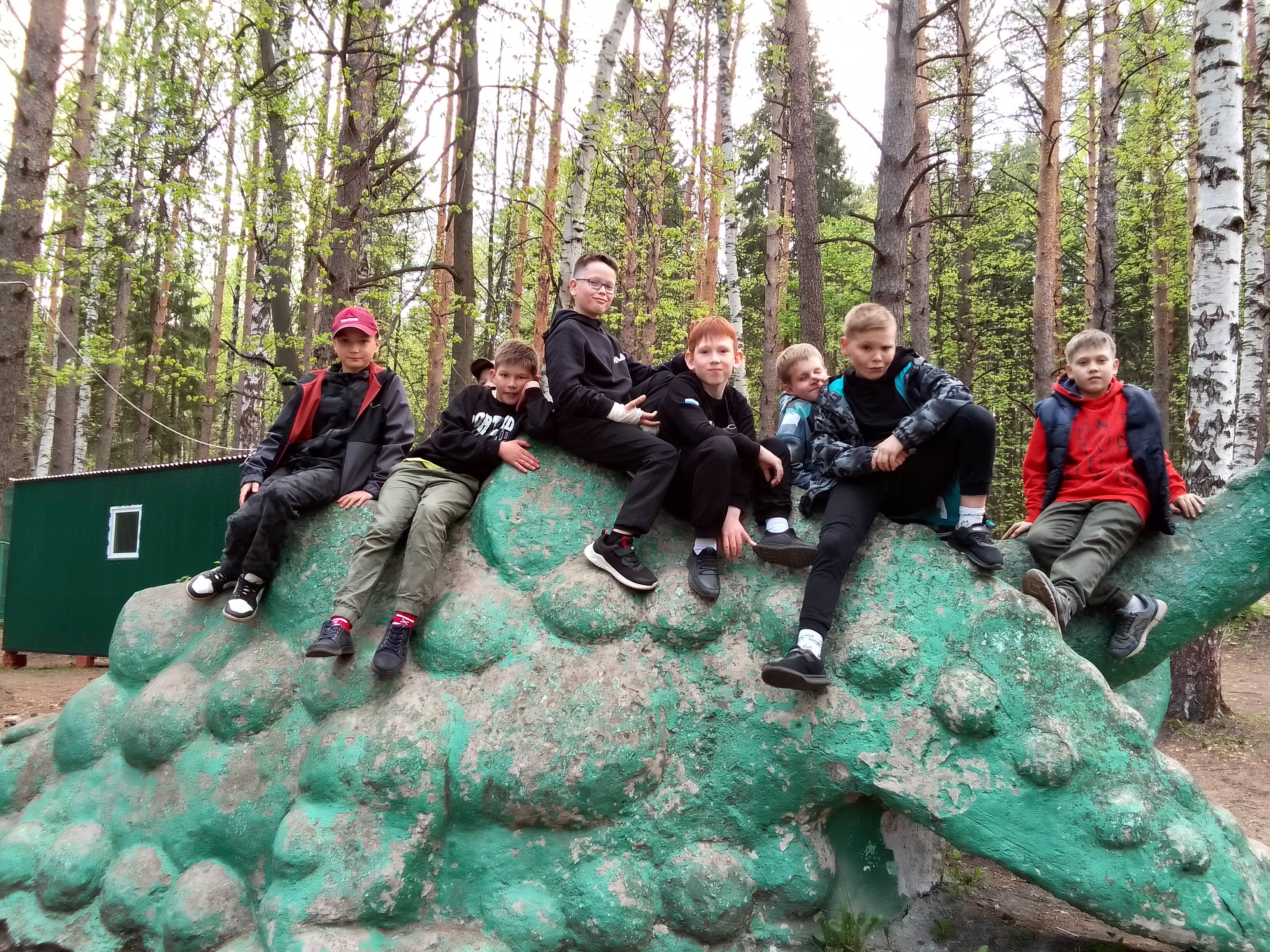 Фото Сосновый бор