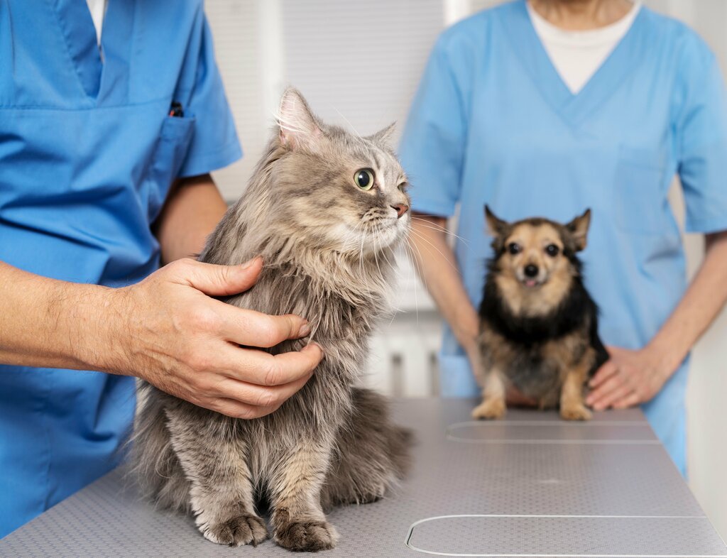 Veterinary clinic Klinika veterinarnoy meditsiny Apriori, Pervouralsk, photo