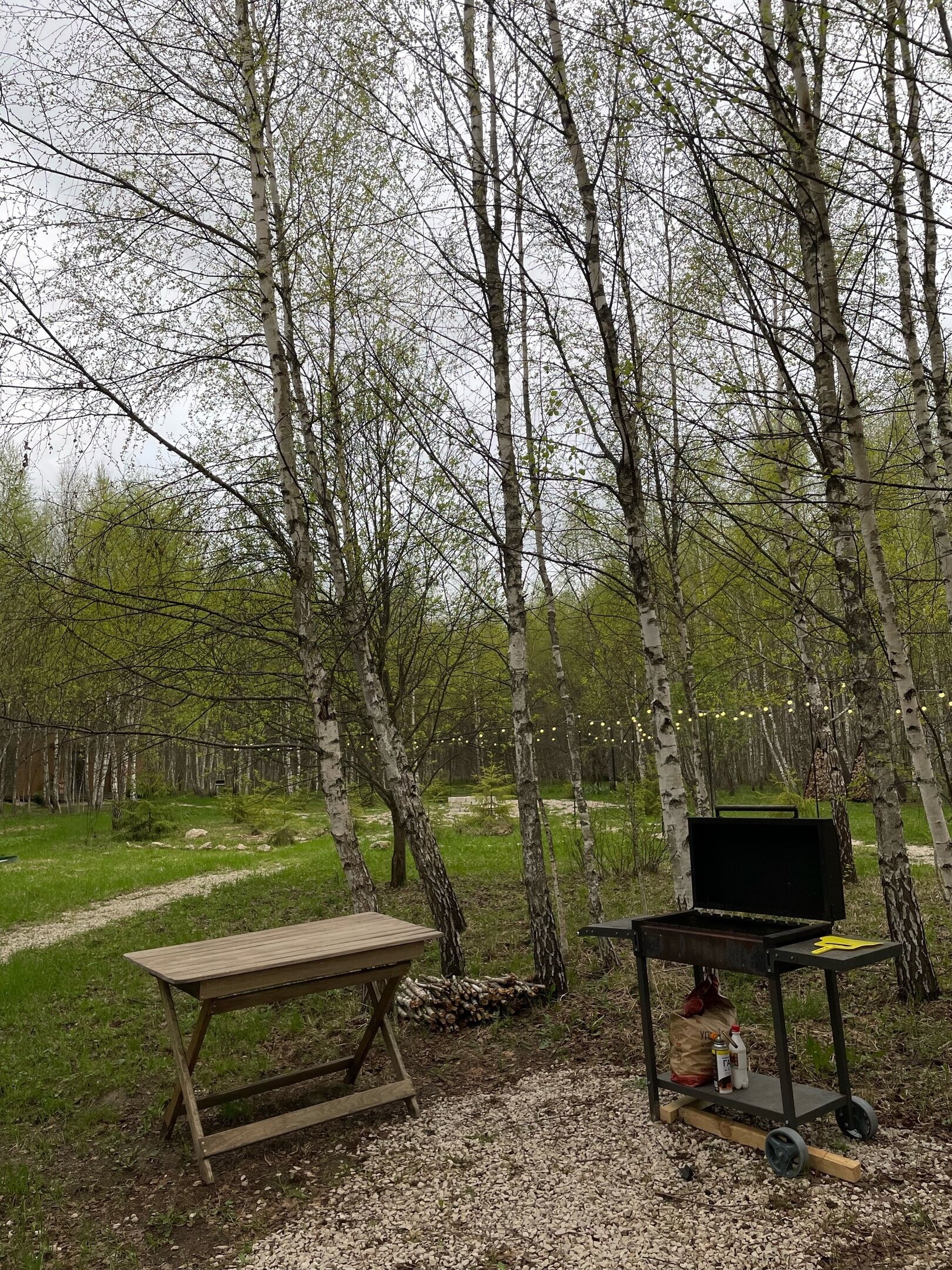 Фото Два зайца