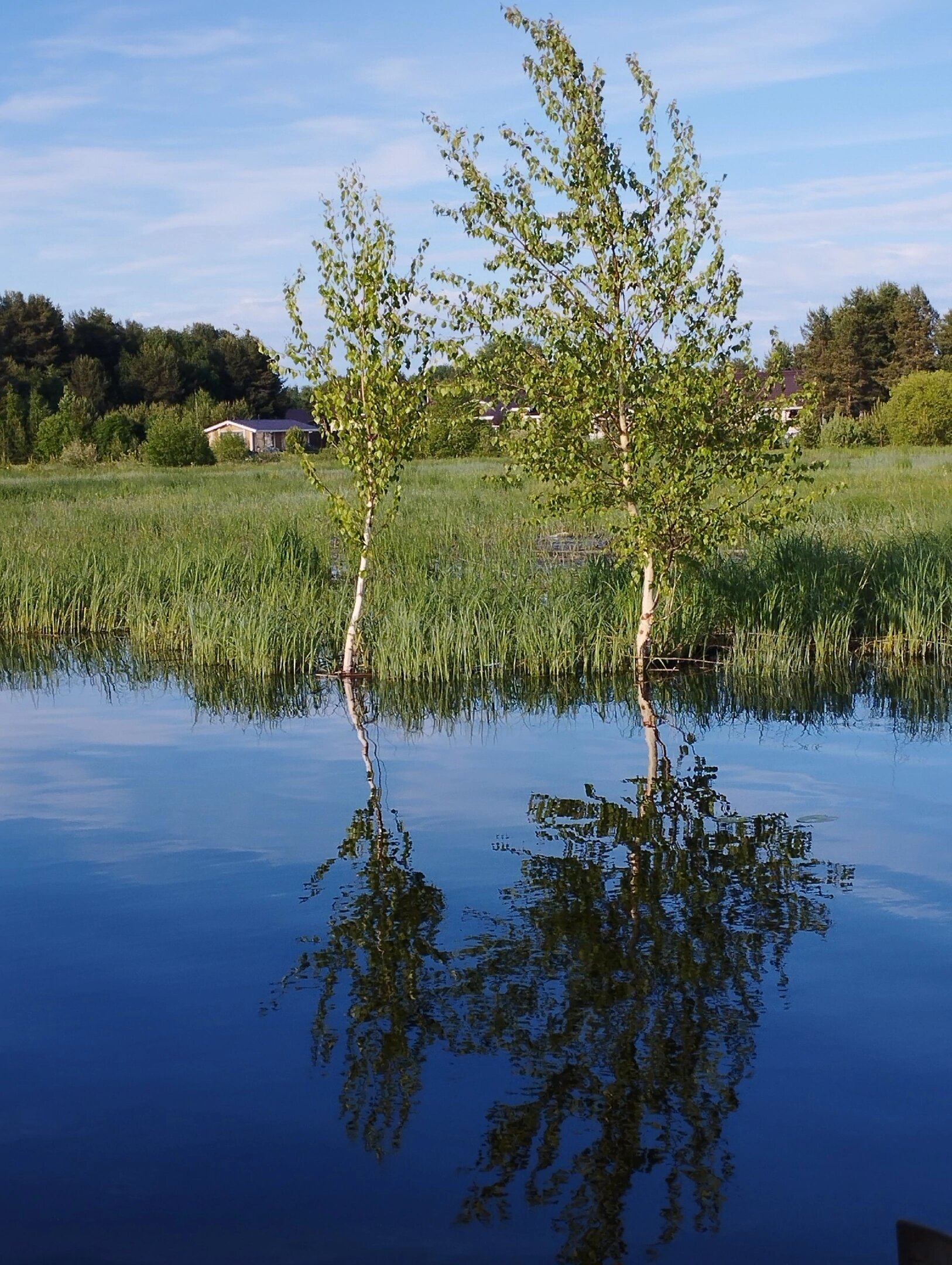 Фото Челмужская усадьба