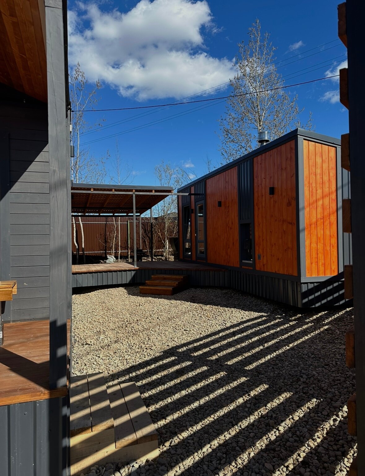 Фото Дружба