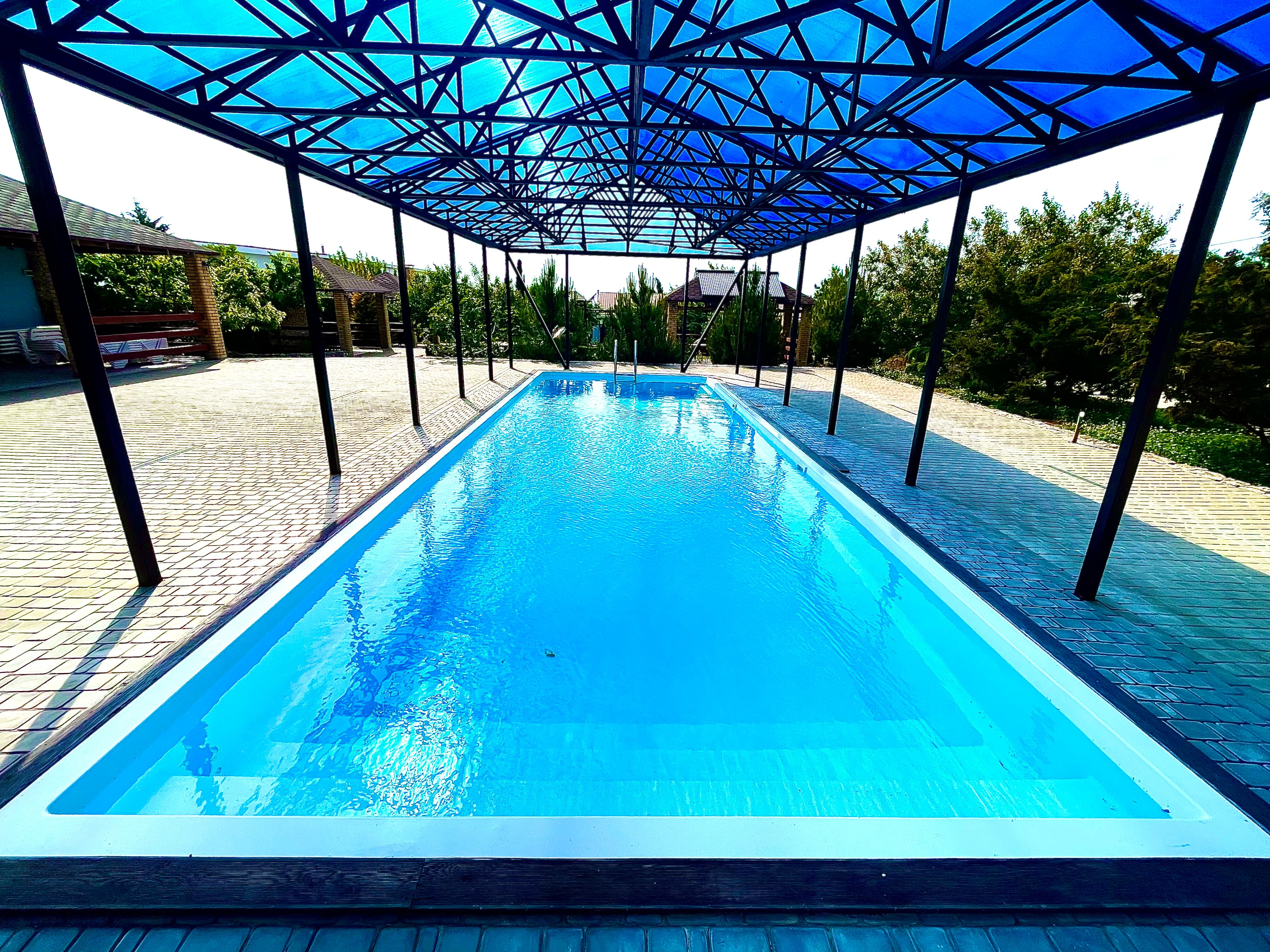 Фото Морская Звезда