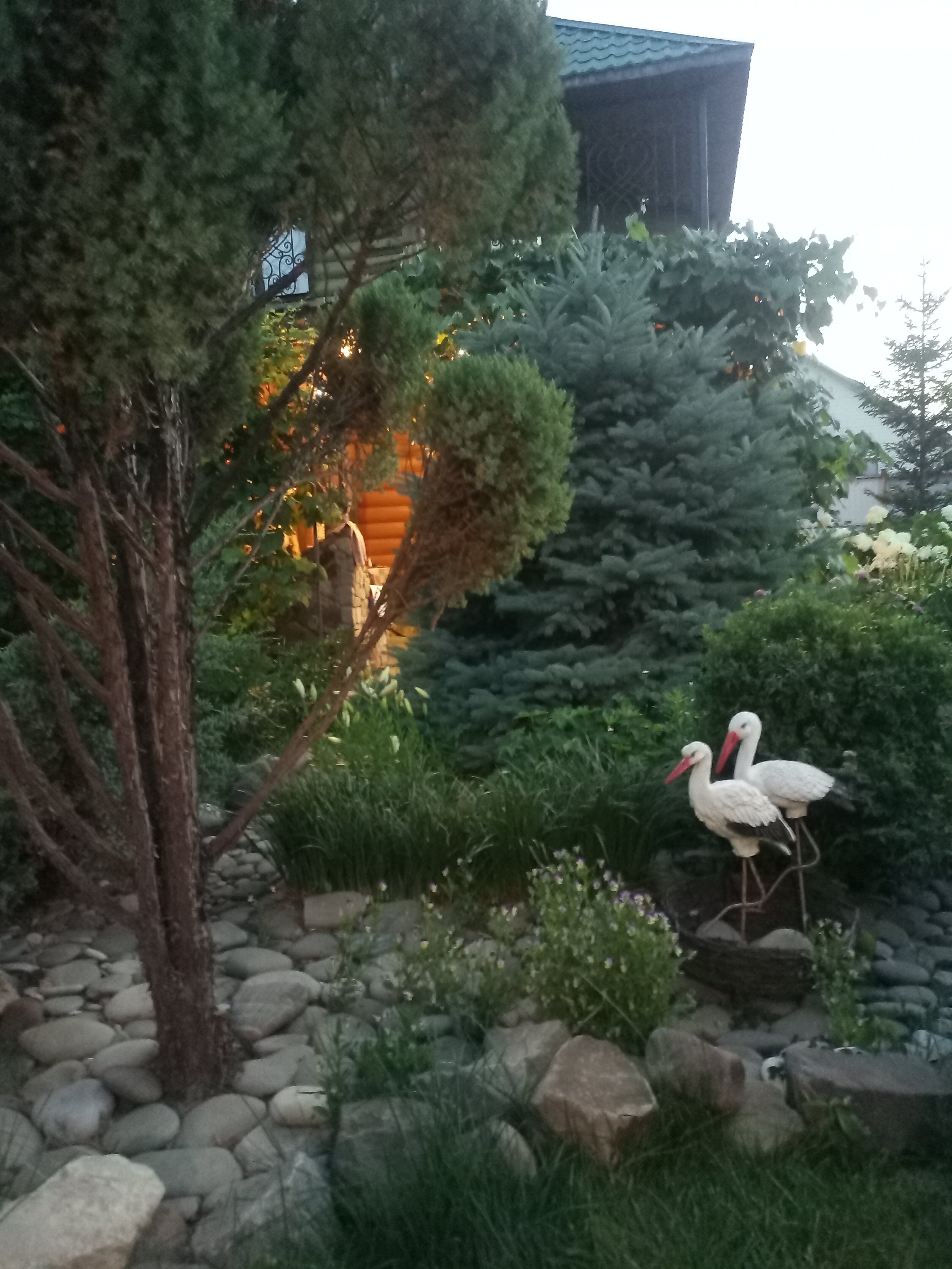 Фото Green_house_34