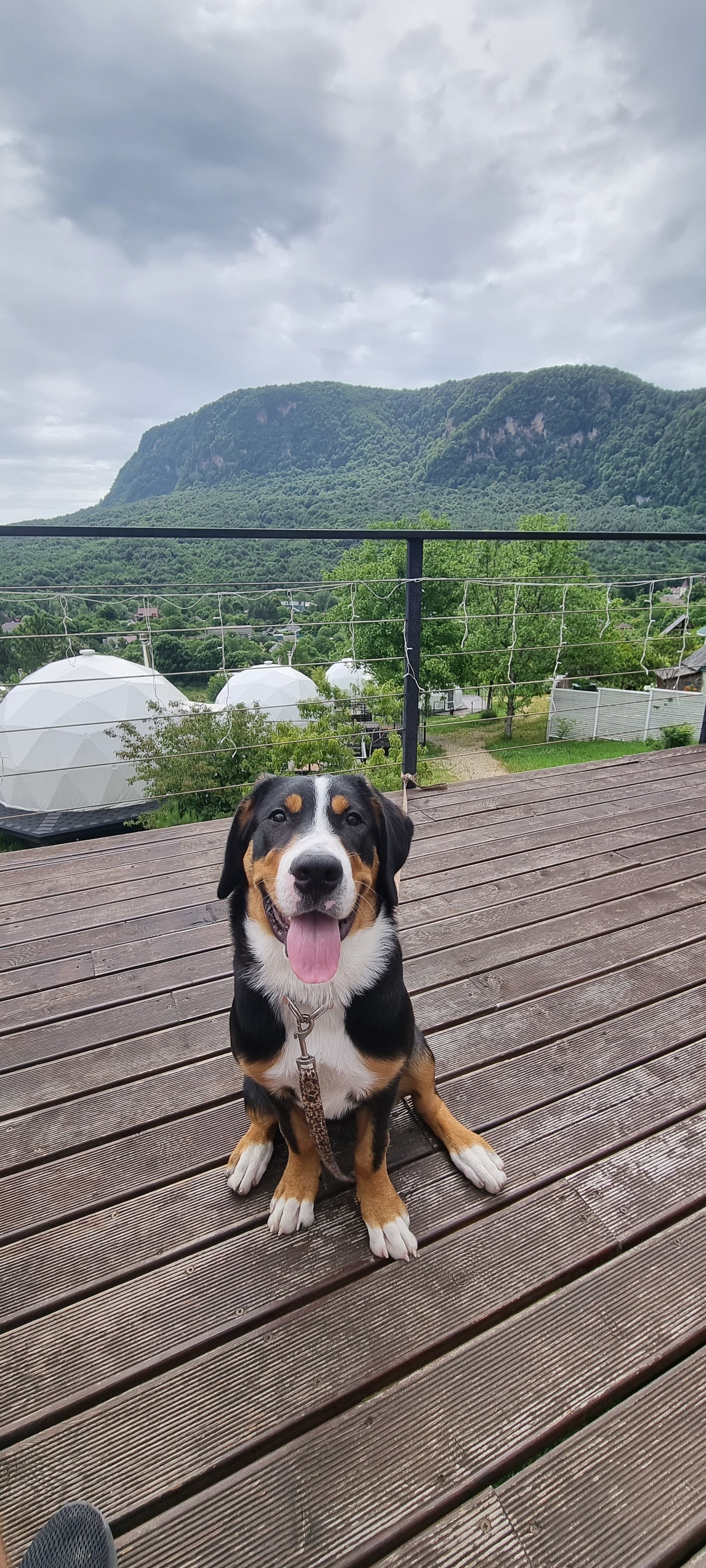 Фото Панорама