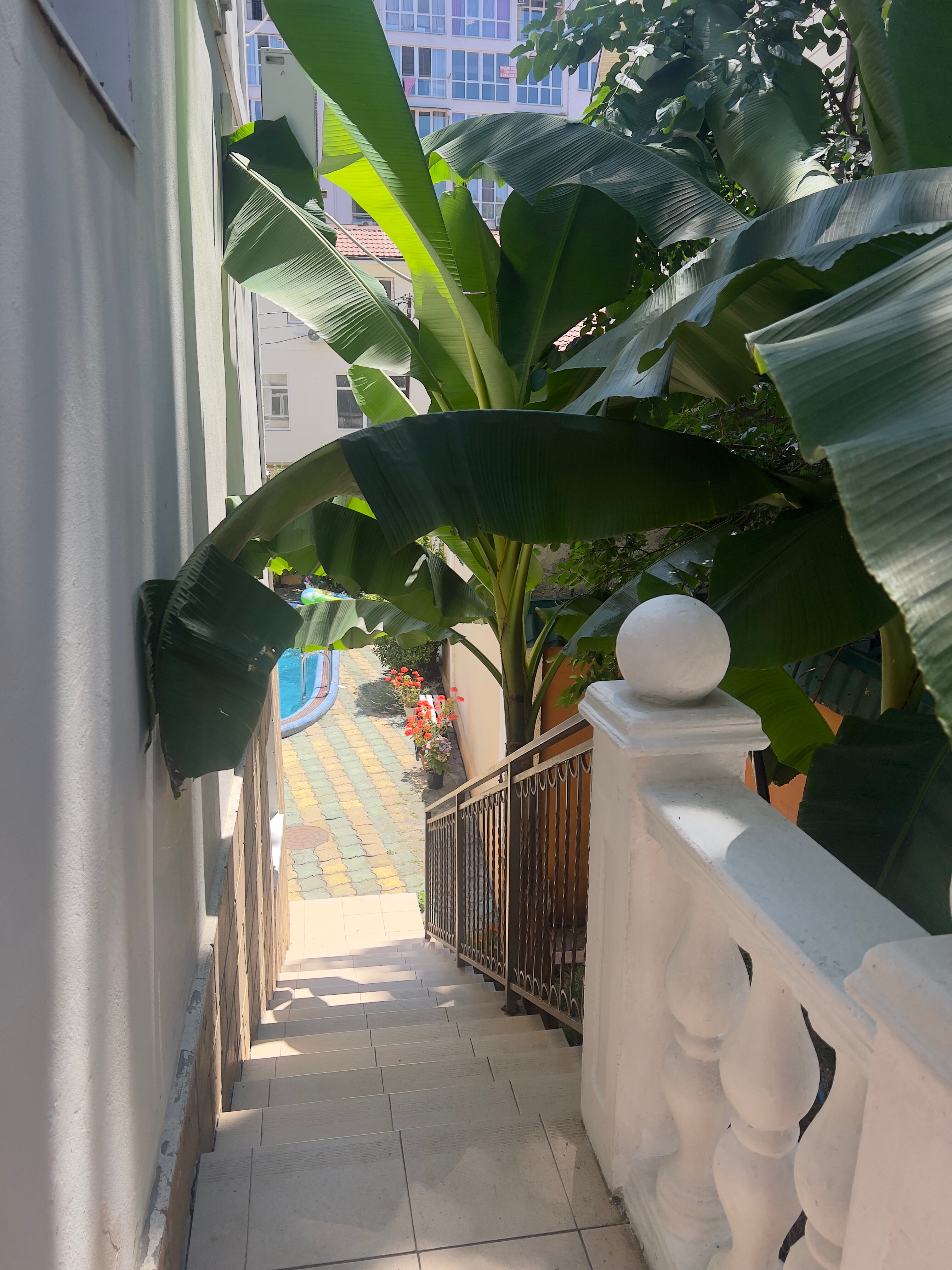 Фото Анна-вояж