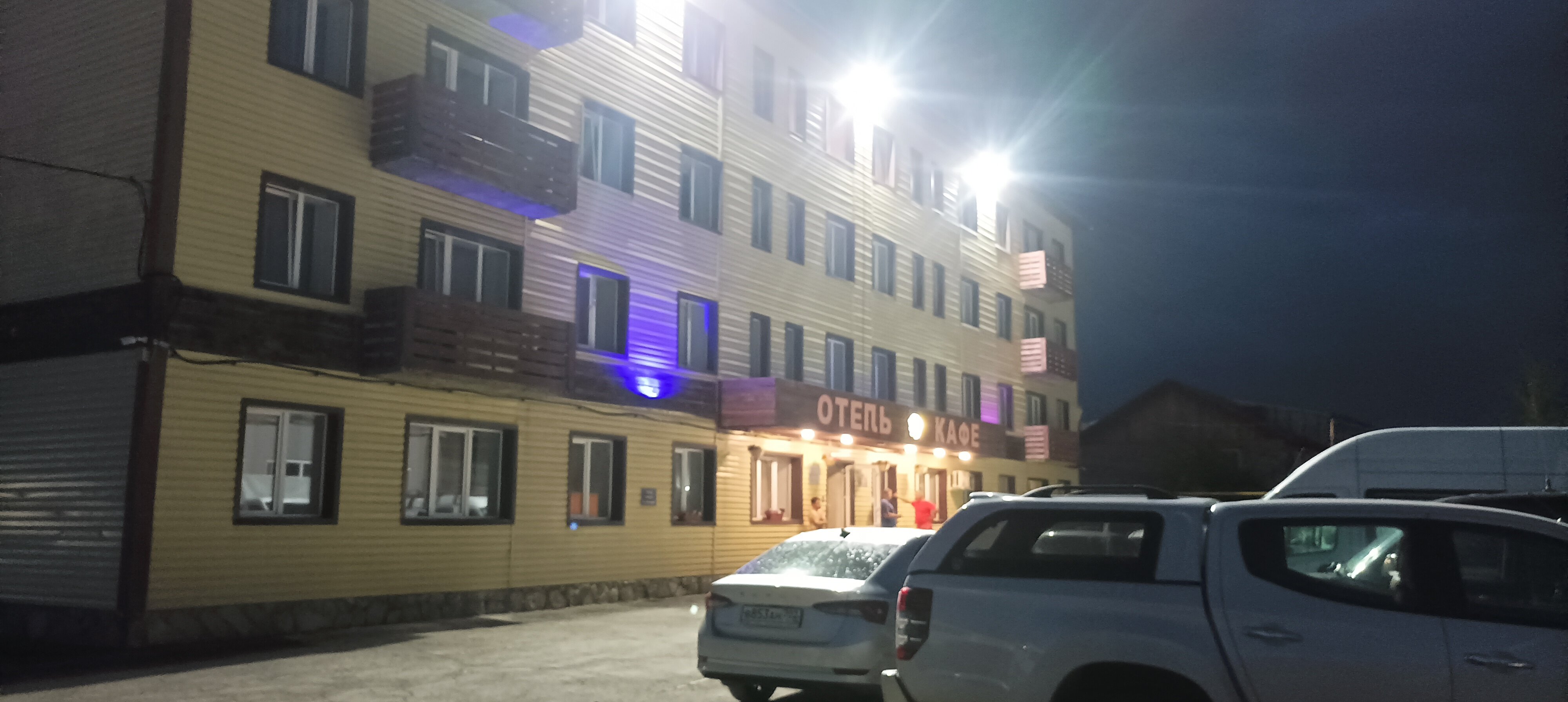 Фото Альбатрос