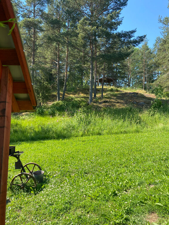 Фото Остров Мейери