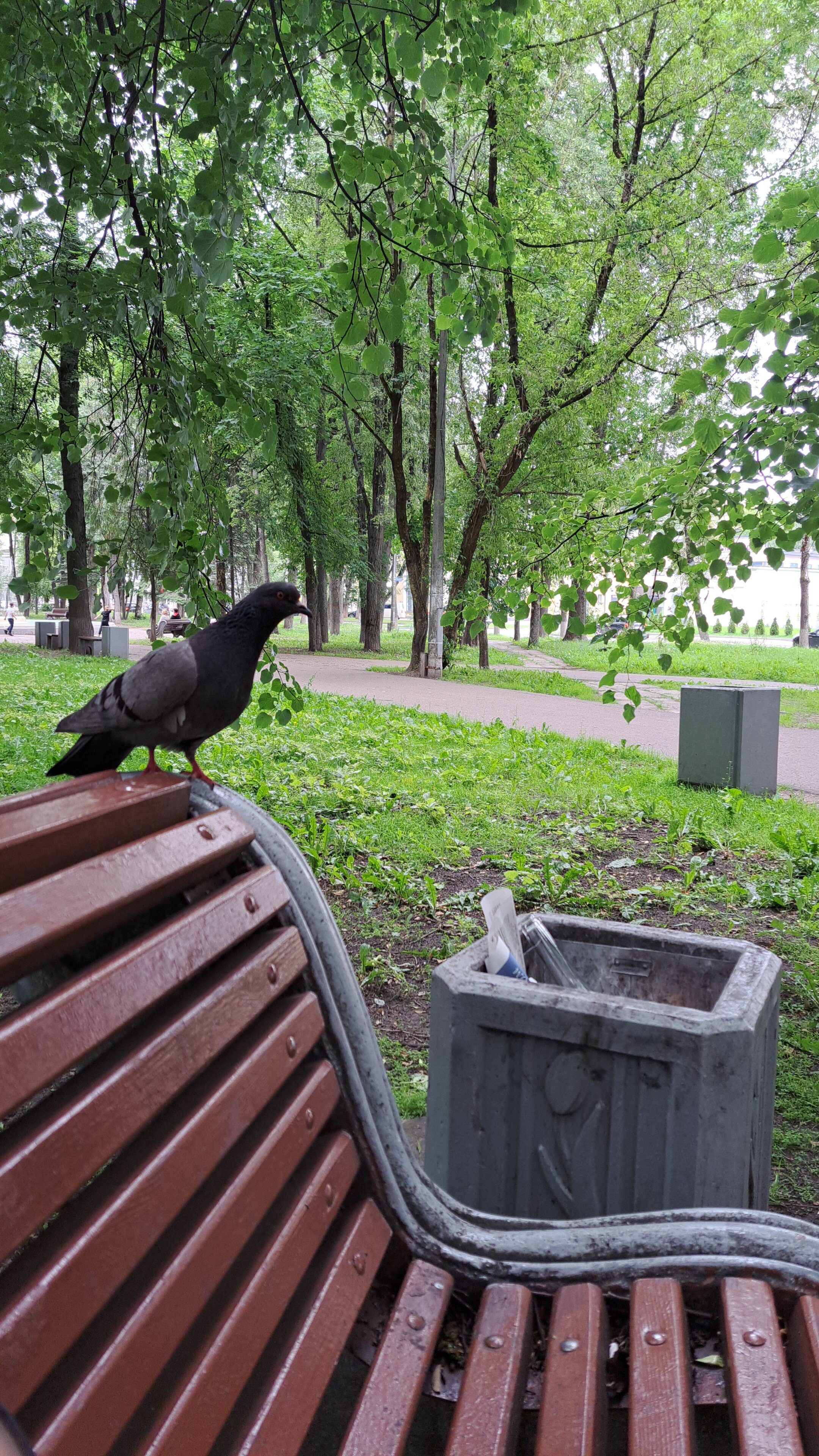 Фото Череха