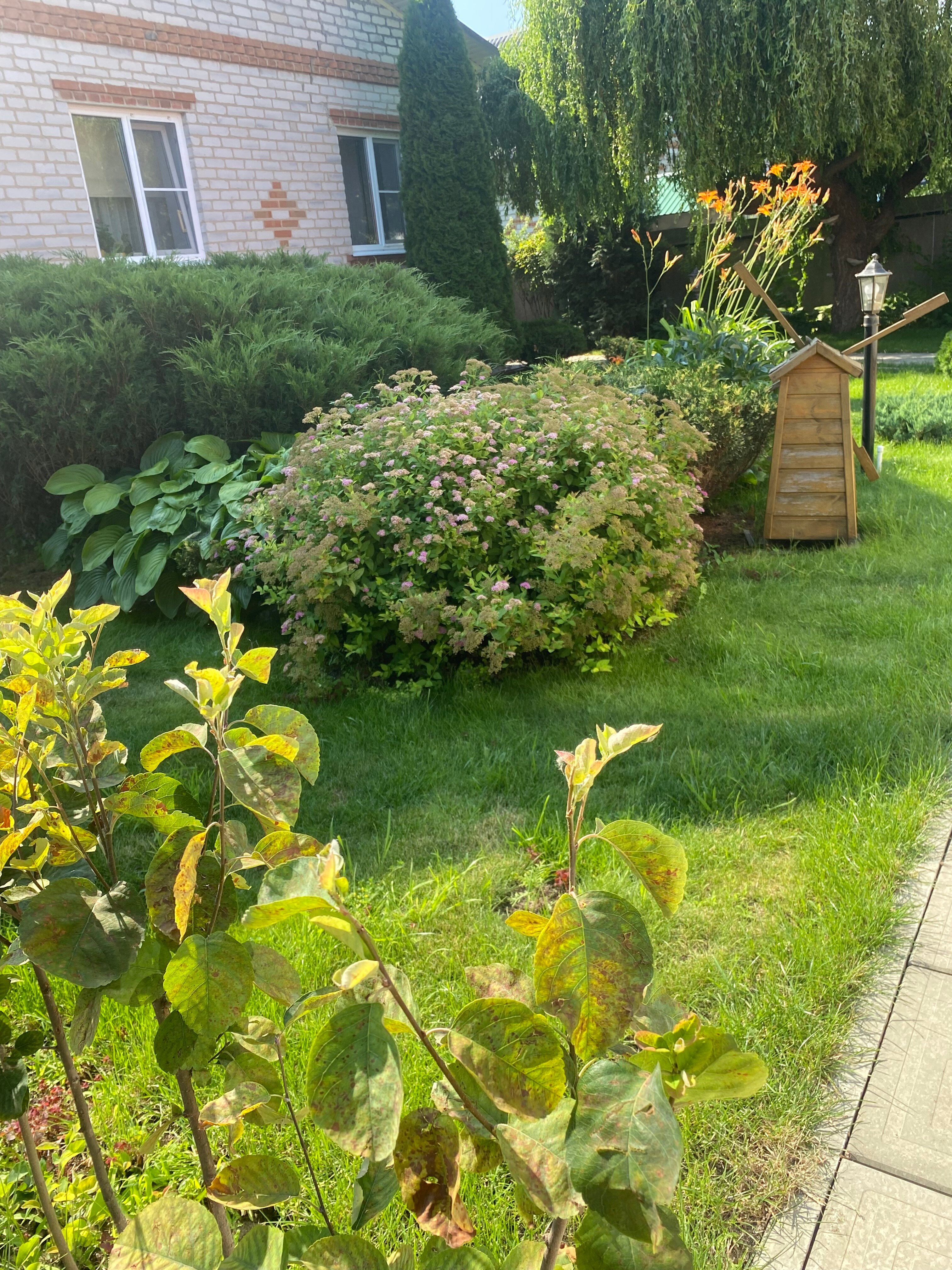 Фото Дворик