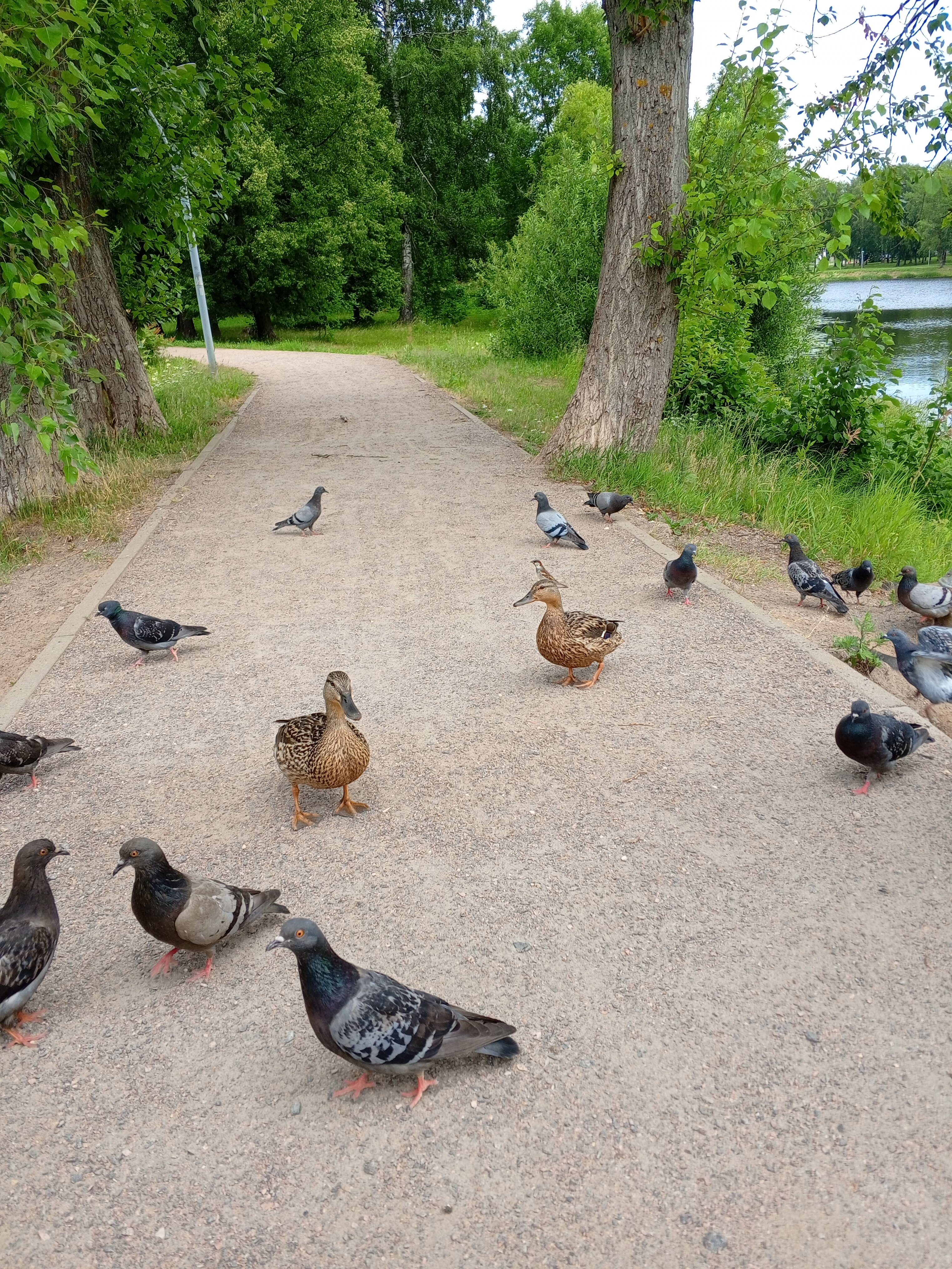Фото Астрал