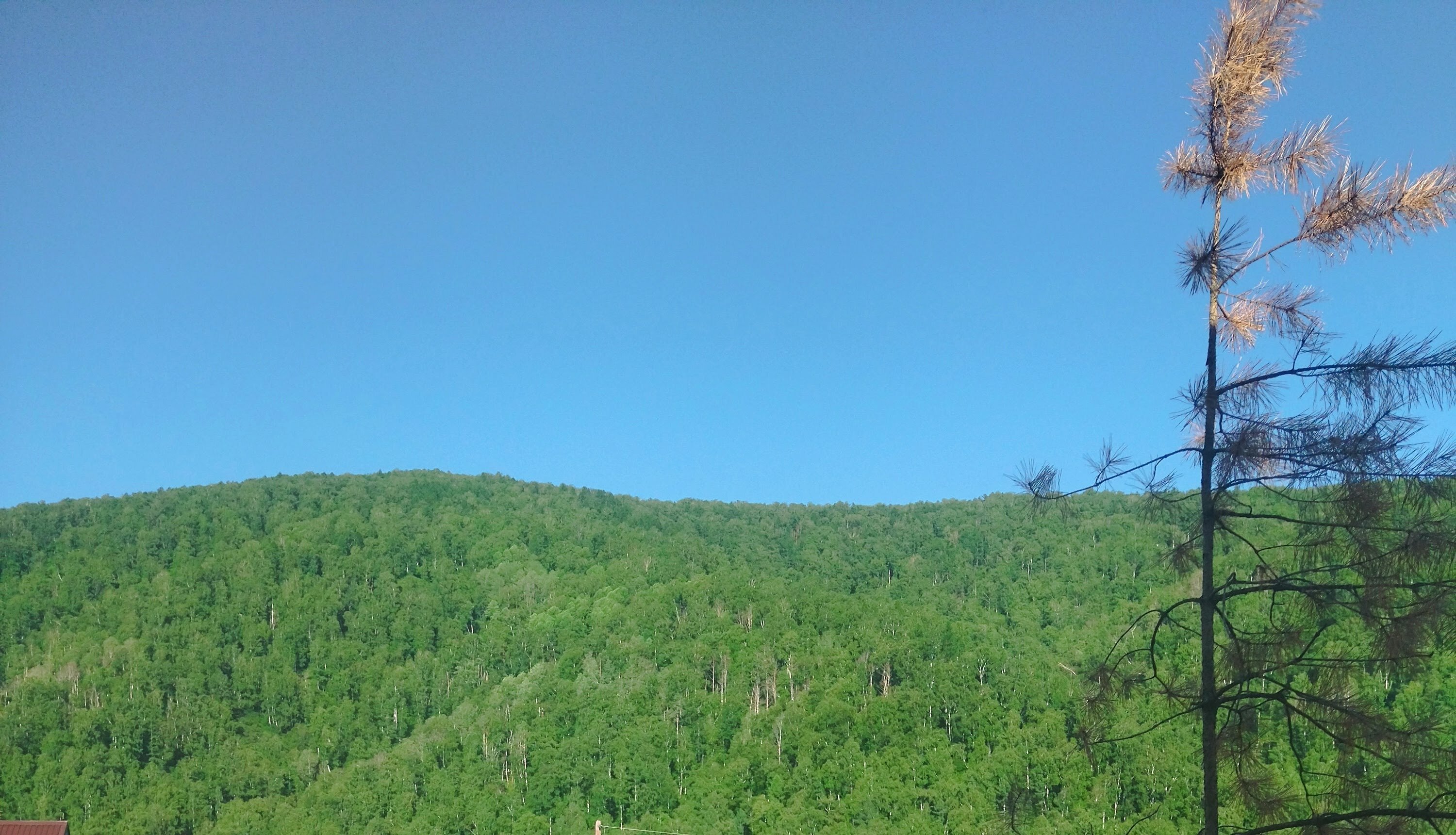 Фото Кербалык