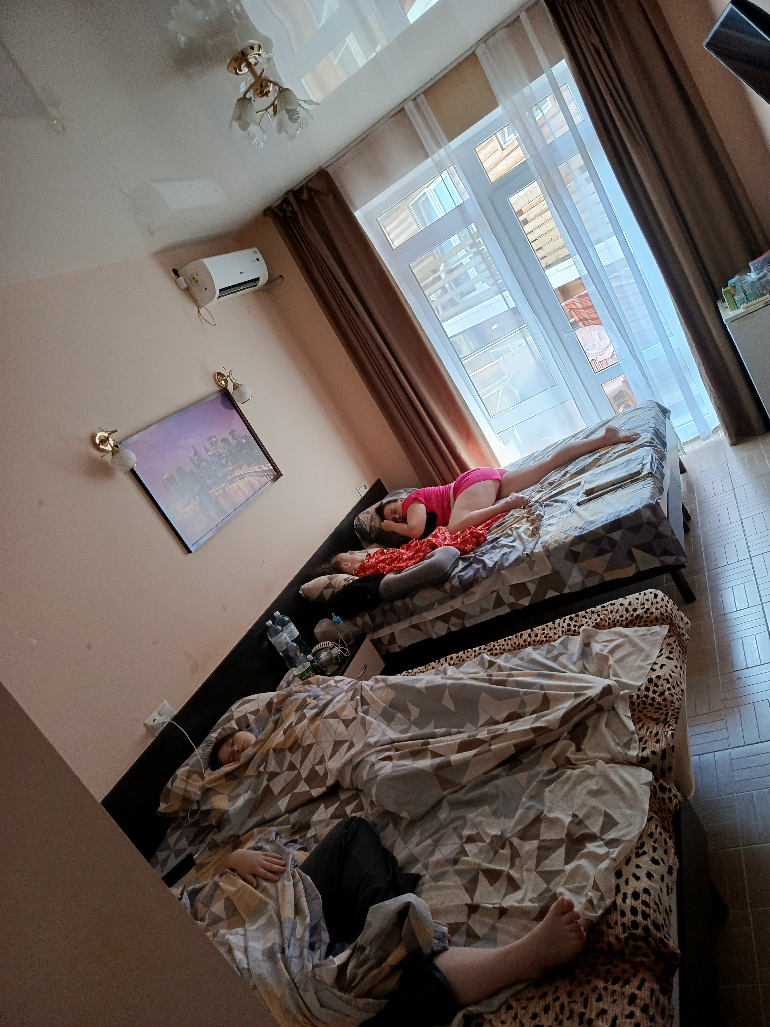 Фото Камела