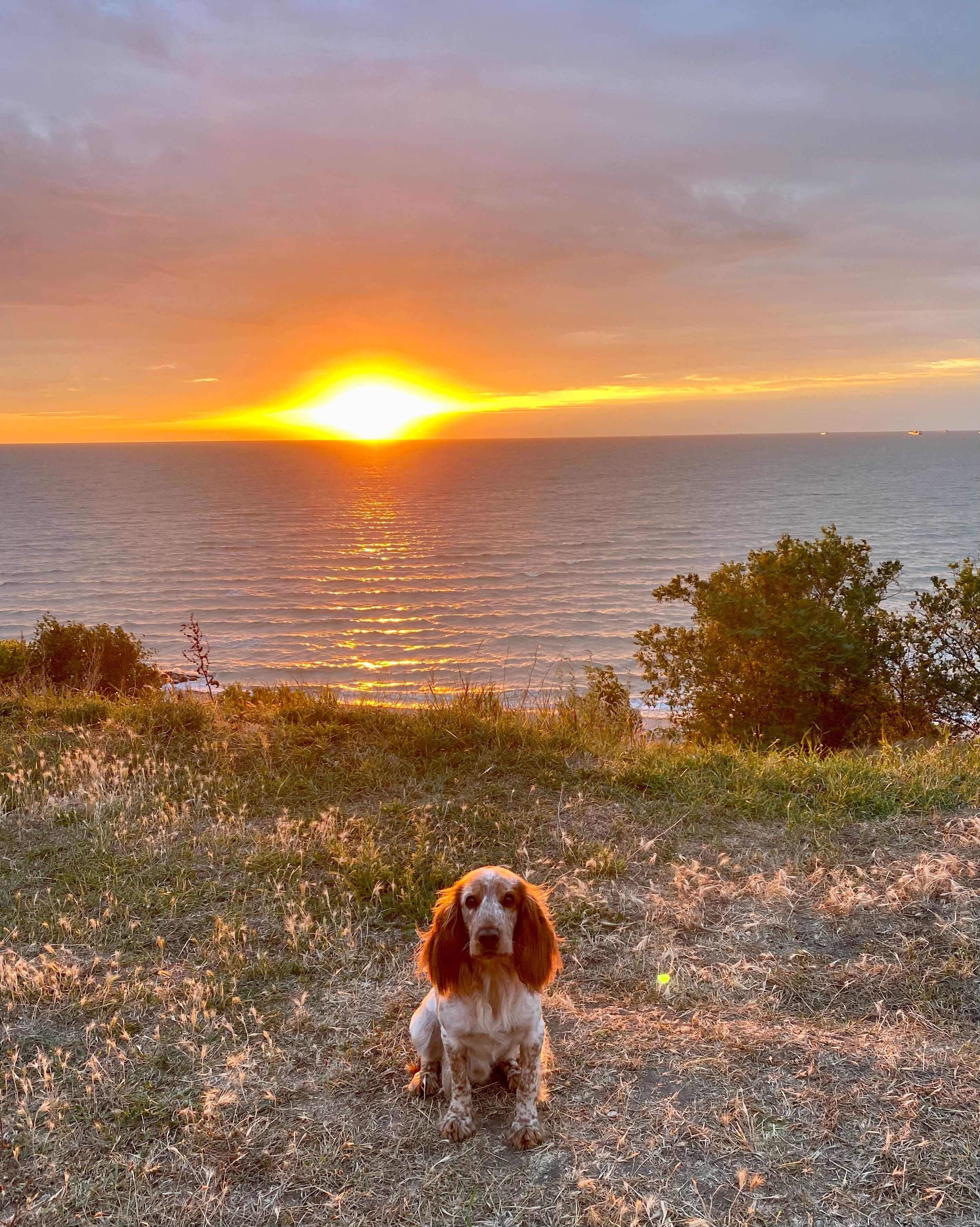 Фото Приморская