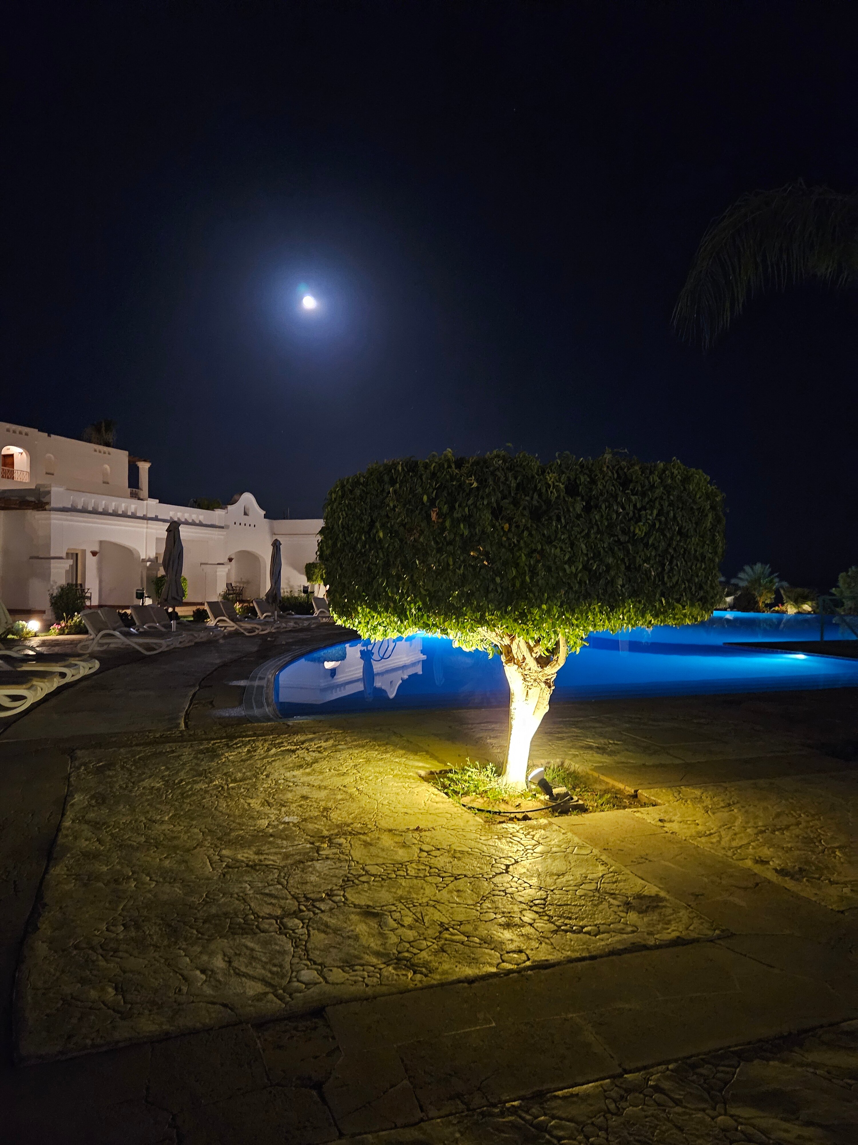 Фото Continental Plaza beach Resort