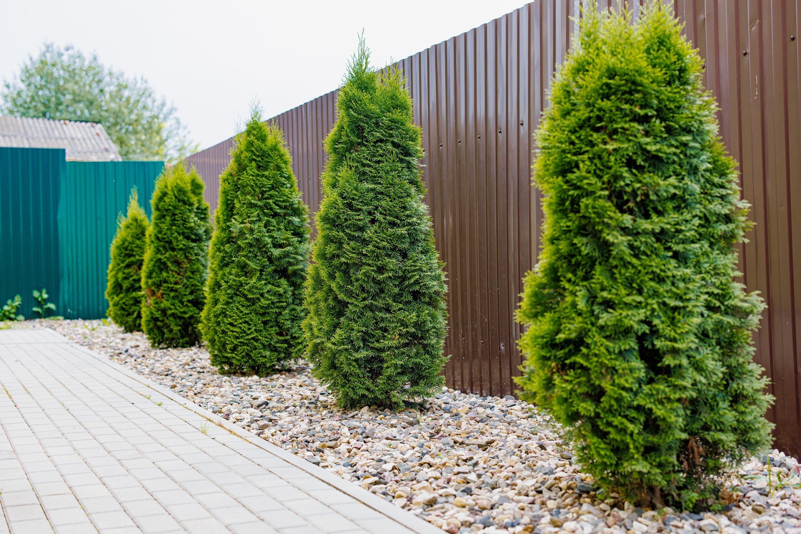 Фото Зарядье