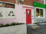 Magazin Zveryo moyo (2-ya Sadovaya ulitsa, 129), pet shop